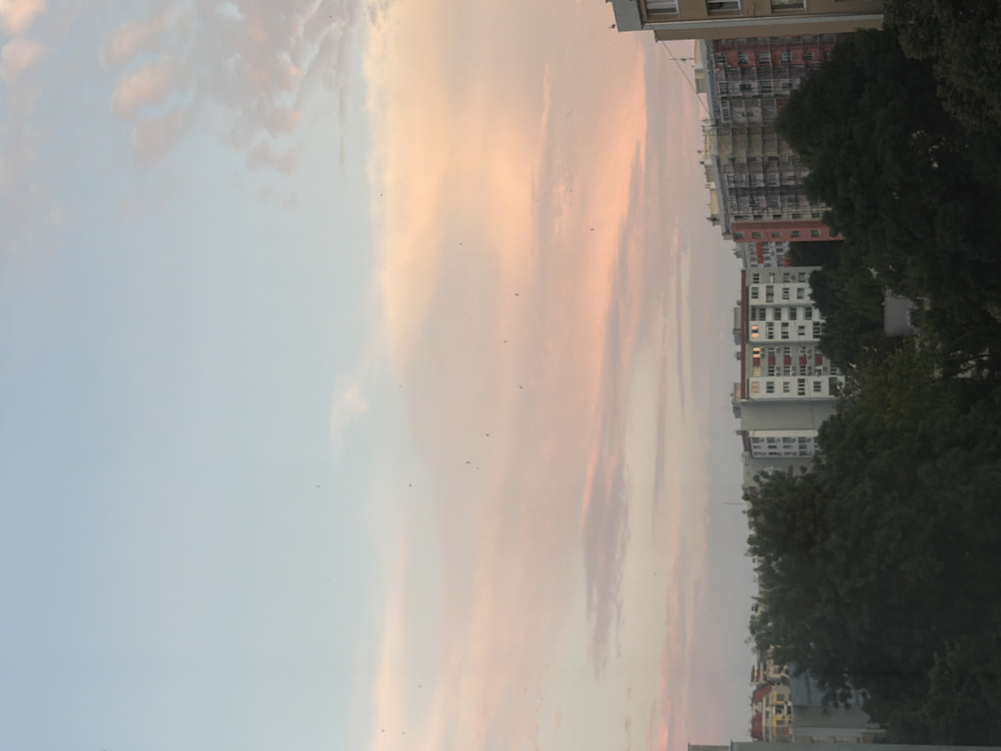 The image depicts a view of the city of Burgas, Bulgaria, dominated by a soft, pastel-colored sky at dusk. The sky transitions from a pale blue at the top to shades of pink and orange, with scattered clouds. Below the sky, a dense line of trees forms a dark silhouette against the lighter horizon. Behind the trees, the tops of several multi-story apartment buildings are visible. One building on the far right is a light beige color with visible windows. To its left, a larger building features a reddish-orange facade with many windows. Further to the left, more apartment buildings are visible, some with white facades and windows. The overall impression is of a residential urban landscape at the end of the day. There are no people or specific actions depicted, creating a tranquil, observational scene.