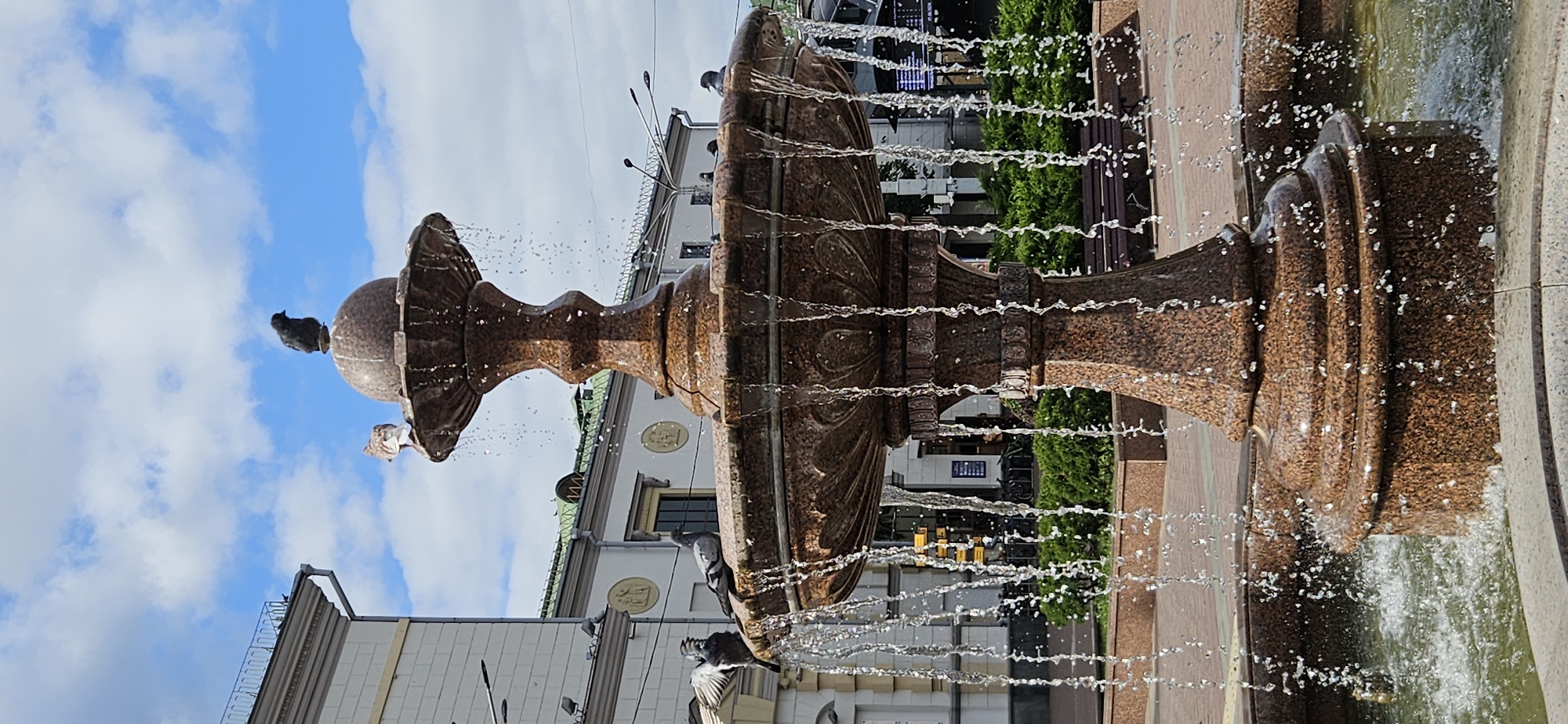 The image depicts a multi-tiered granite fountain in an urban setting. Several pigeons are present on and around the fountain. One pigeon is perched on the topmost sphere of the fountain, facing left. Another pigeon, primarily visible from the back, stands on the rim of the upper tier, facing away from the viewer. A third pigeon stands on the rim of the larger, lower tier, with its wings partially spread, facing left. Two other pigeons are also on the rim of the lower tier, facing right. In the background, a building with classical architectural elements, including columns and decorative reliefs, is visible. Green bushes and a park bench are present in the mid-ground. The sky is blue with scattered white clouds. The fountain is actively spraying water, creating a dynamic effect. This scene is located in Vitsebsk, Belarus, on Sovetskaya Street, in front of the VITEBSKDREV building.