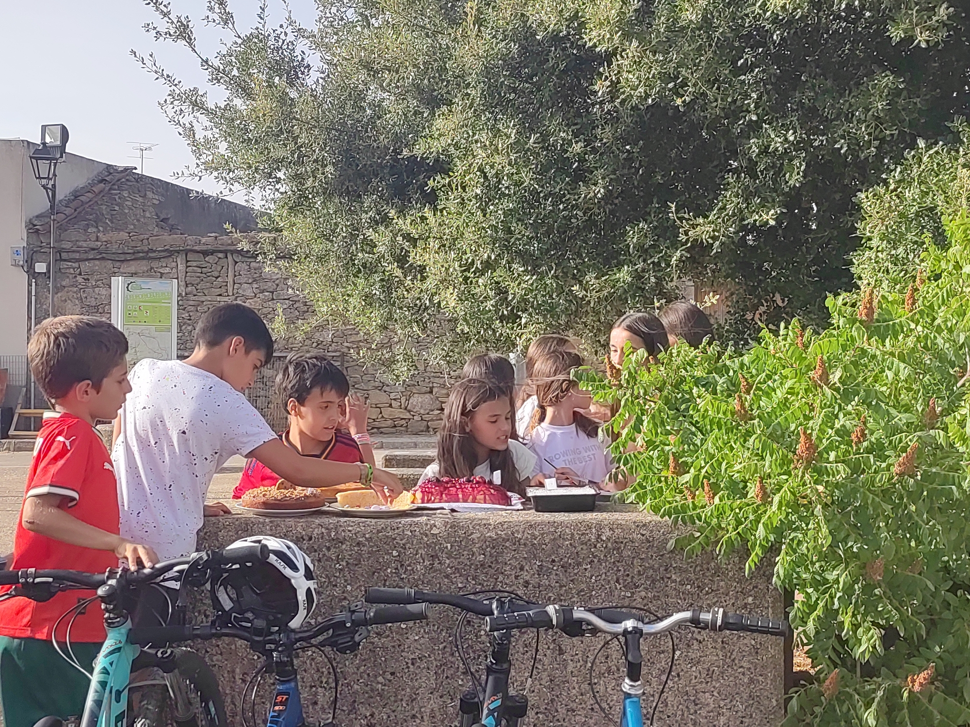 In Sobradillo, Spain, on a sunny day, a group of children are gathered around a low stone wall outdoors, where two cakes and some plates are laid out. A young boy in a red shirt and green shorts stands on the left, leaning on his bicycle. To his right, a boy in a white shirt with paint splatters is looking down at the cakes. Another boy in a red and yellow shirt is also looking at the cakes. Several girls are seated behind the wall, with one in the center wearing a white t-shirt that reads "ROWING WITH THE BEST". Lush green foliage, including bushes with brown seed pods, frames the right side of the scene. In the background, a stone building with a tiled roof and a lamppost are visible, along with a utility pole and antennae. Two bicycles are parked in the foreground, one blue and one with a white helmet.