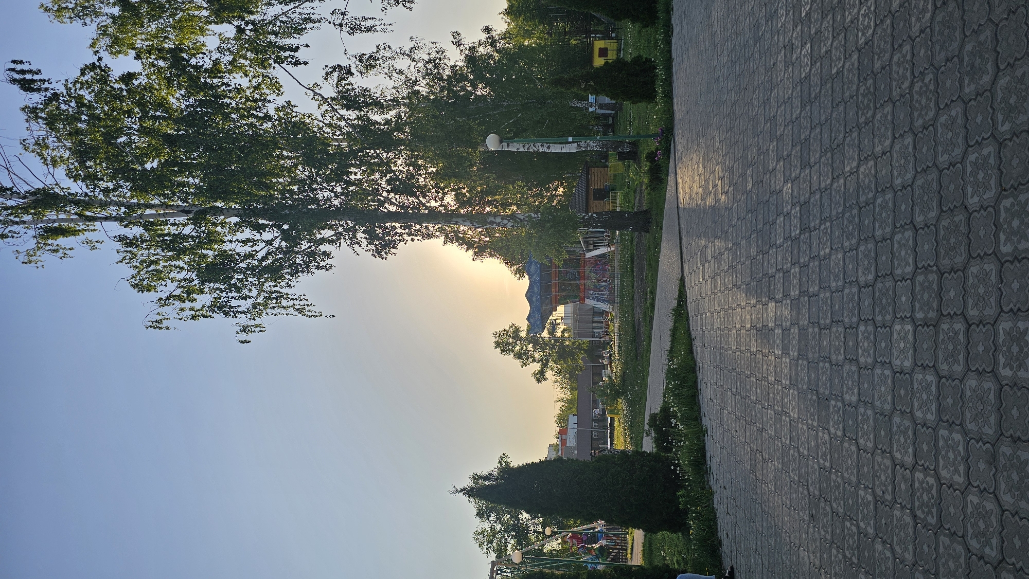 The image shows a park in Unknown, Unknown at sunset. A paved walkway stretches along the right side of the frame, with grass and greenery on the left. A large tree with white bark dominates the left side, partially obscuring the setting sun. In the background, a playground with slides and climbing structures can be seen. Other trees and a small building are visible further in the distance. There are people on swings at the very bottom of the image.