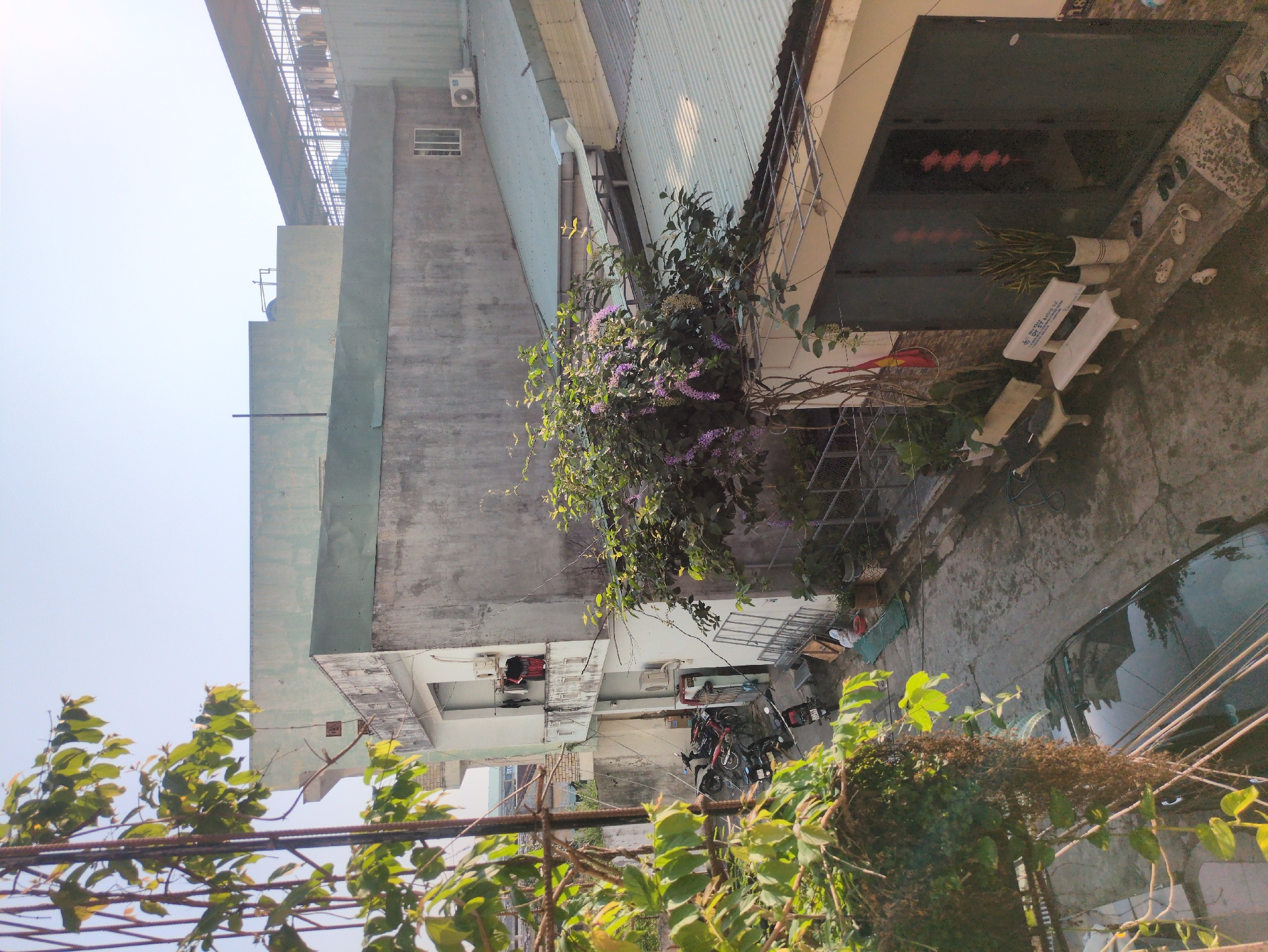 The image shows a street scene in South Quy Nhon Ward, Vietnam. Buildings are visible, including one with an exterior wall with plants growing on it. Several motorbikes are parked on the street. A car is parked, its windshield reflecting buildings. Utility wires are visible across the scene. The sky is visible, suggesting a sunny day.
