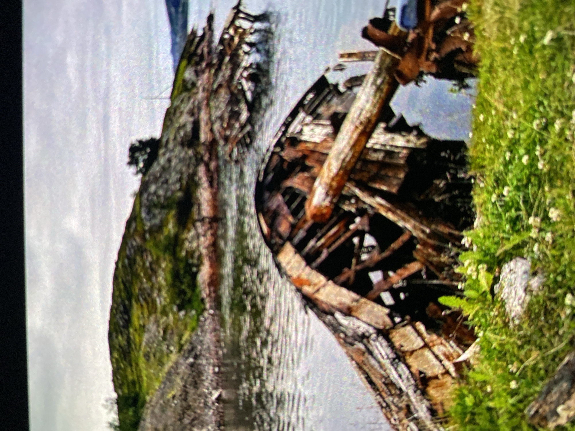 An outdoor scene shows the decayed remains of a wooden ship near a body of water and land covered in vegetation. The wooden ship's frame is prominently displayed, with exposed timbers. The surrounding environment includes water and grassy land. While this image bears similarities to shipwreck locations, a definitive determination of the city as Saint Petersburg, Russia, cannot be made based on the image alone.