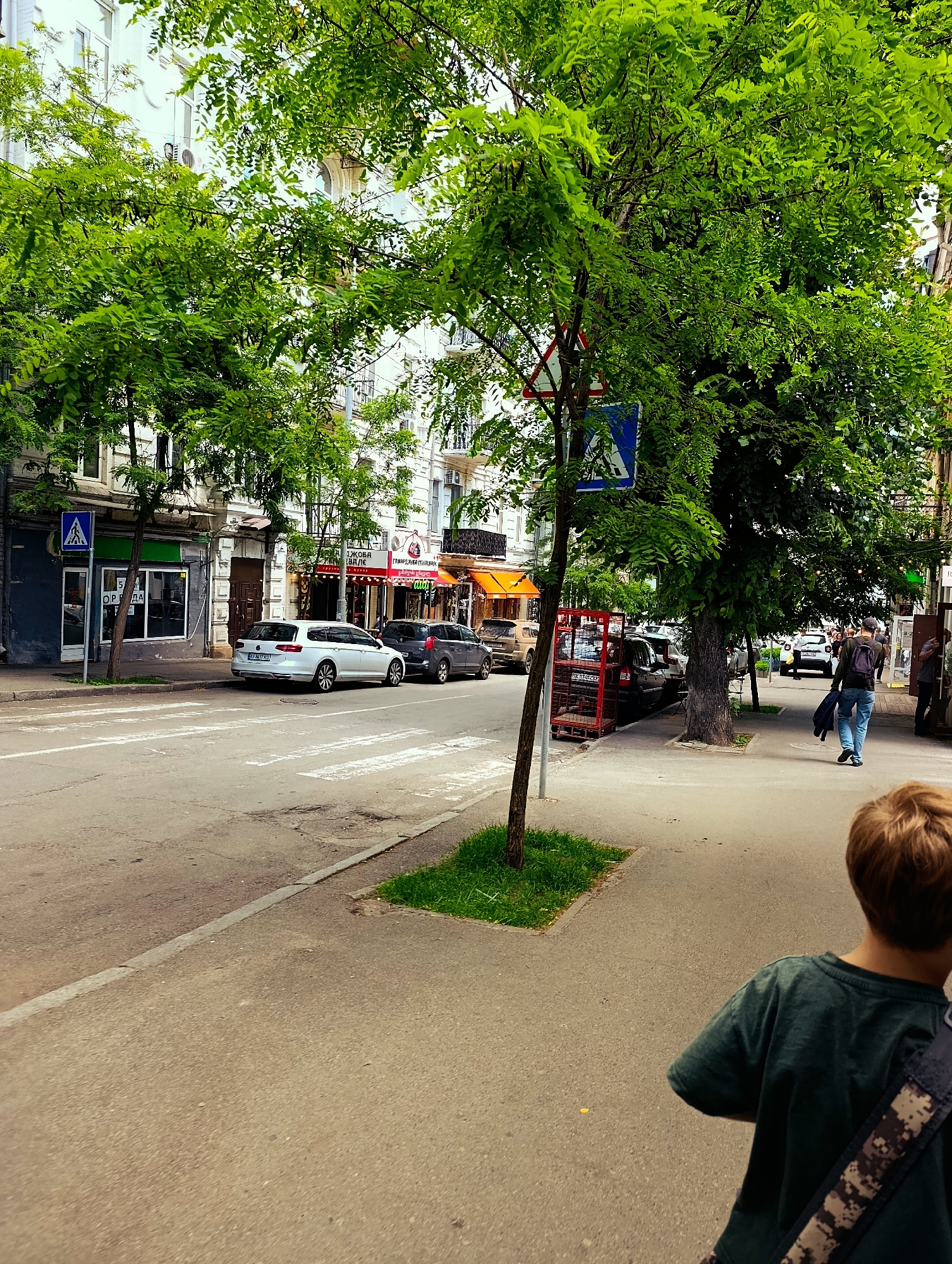 A person with light brown hair and a dark green t-shirt is walking away from the camera on a paved sidewalk next to a street in Kyiv, Ukraine. The person is carrying a bag with a camouflage strap over their right shoulder. The street has a pedestrian crossing marked by white stripes. Several cars are parked on the street and along the sidewalk. Buildings with white facades and windows line the street. Green trees with dense foliage are planted along the sidewalk and overhang the street. A blue and white pedestrian crossing sign is visible on a pole near one of the trees. The overall scene depicts a typical urban street in Kyiv on a daytime.