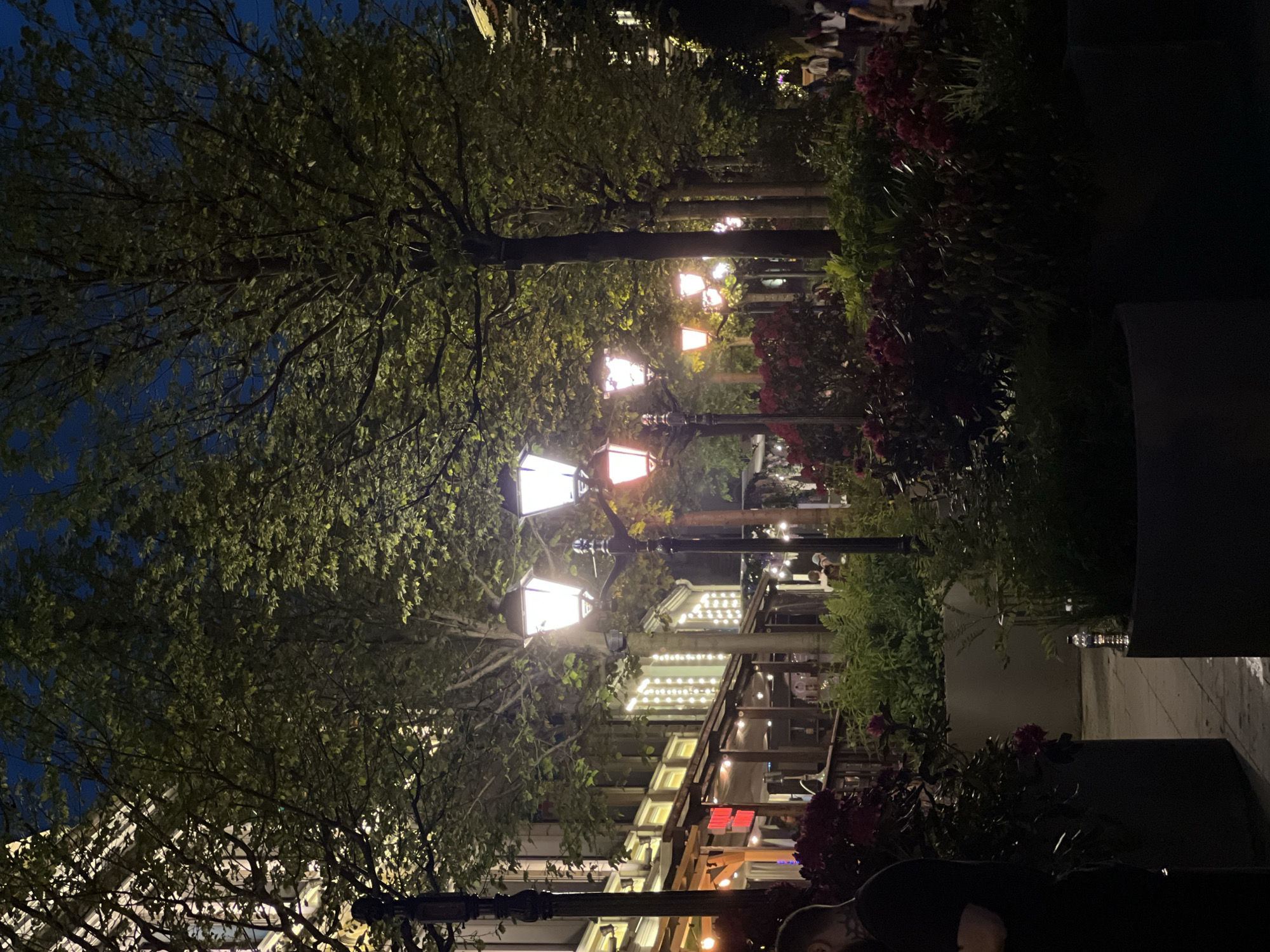 This is an outdoor scene at night, possibly in a city, with lit streetlamps and trees lining a pathway. The scene is in the city of Moscow, Russia. The foreground features decorative plants, including what appears to be red flowers in planters. Rows of buildings are visible in the background, illuminated by lights. The lighting suggests a restaurant or entertainment area. Some blurred figures are visible towards the back, implying pedestrian traffic.