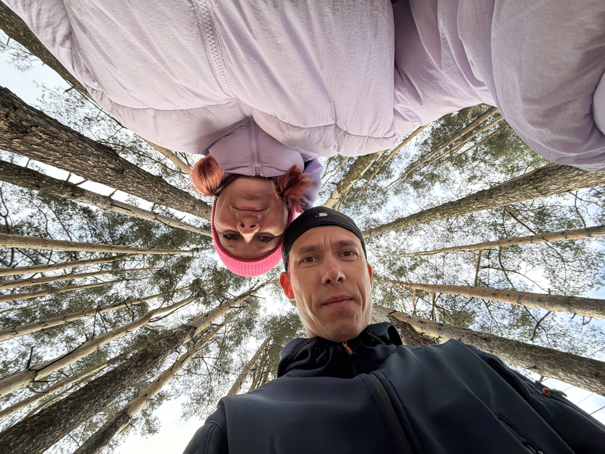 The image depicts two individuals in an outdoor setting, likely a forest or wooded area in Chaikovsky, Russia. The photo is taken from a low angle, looking upwards. The background consists of tall, bare trees reaching towards the sky.
The people are in the foreground. A woman, wearing a pink beanie and a light purple hooded jacket, is positioned in the upper part of the frame, appearing upside down from the viewer's perspective. A man is below her wearing a black cap and a dark jacket.
The image seems to be a selfie or a photograph taken by someone looking up at the subjects. There are no explicit actions or interactions visible other than the subjects posing. The environment is suggestive of a cool climate with sparse foliage, typical of a forest in a temperate region.
