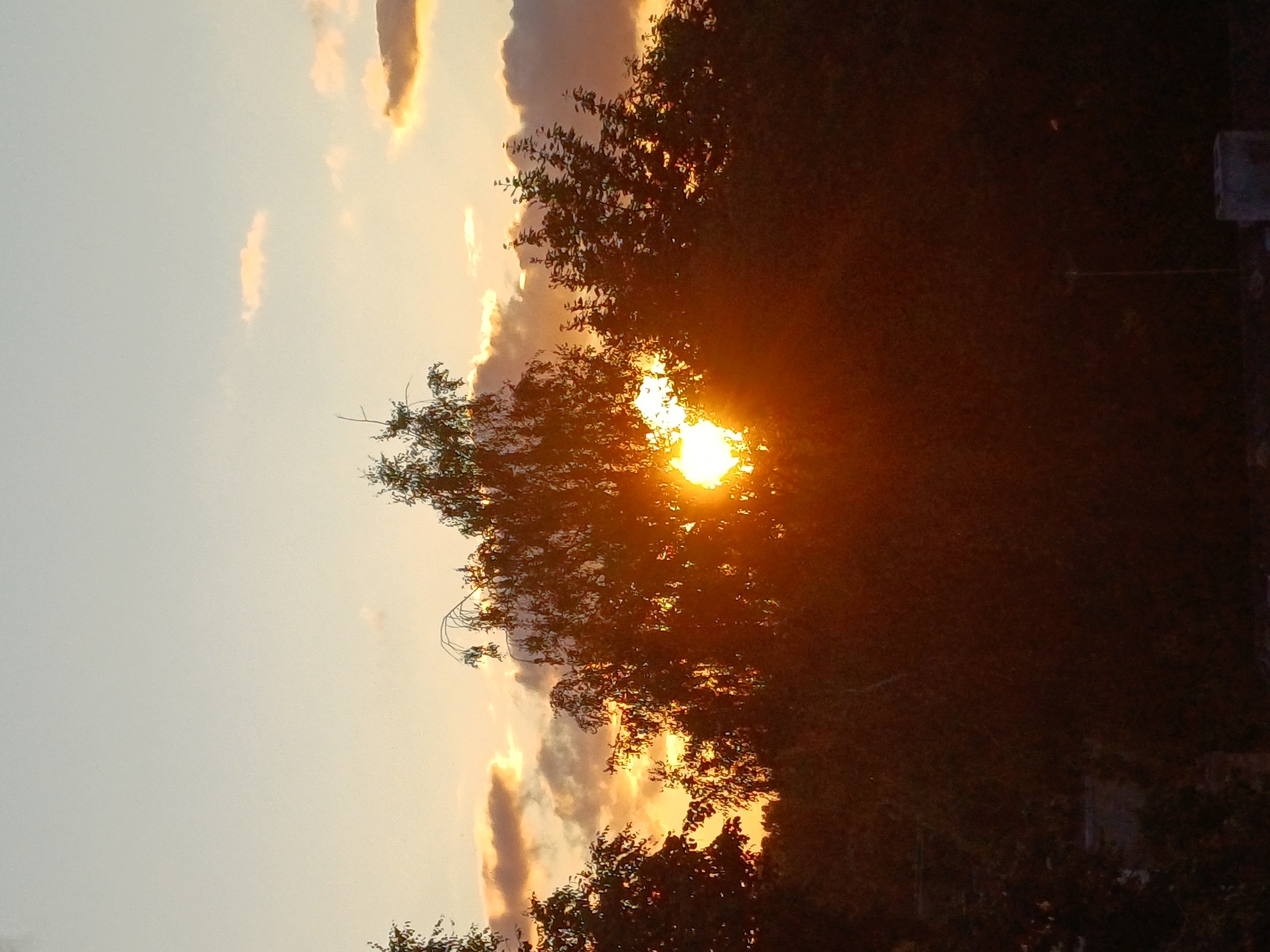 The image depicts a sunset over a densely wooded area. The sun is a bright, intense orb peeking through the leaves of trees, casting a warm orange glow and creating lens flare. The sky is a pale gradient of orange and blue, with scattered clouds tinged by the sunset's light. The foreground is dominated by the dark silhouettes of trees, suggesting the photo was taken from a slightly elevated position, possibly a rooftop or a hill. The environment appears to be a natural landscape within or on the outskirts of a city. Specific details about the location in Riga, Latvia, are not discernible from the visual information provided in the image. There are no people or active events captured in the frame.