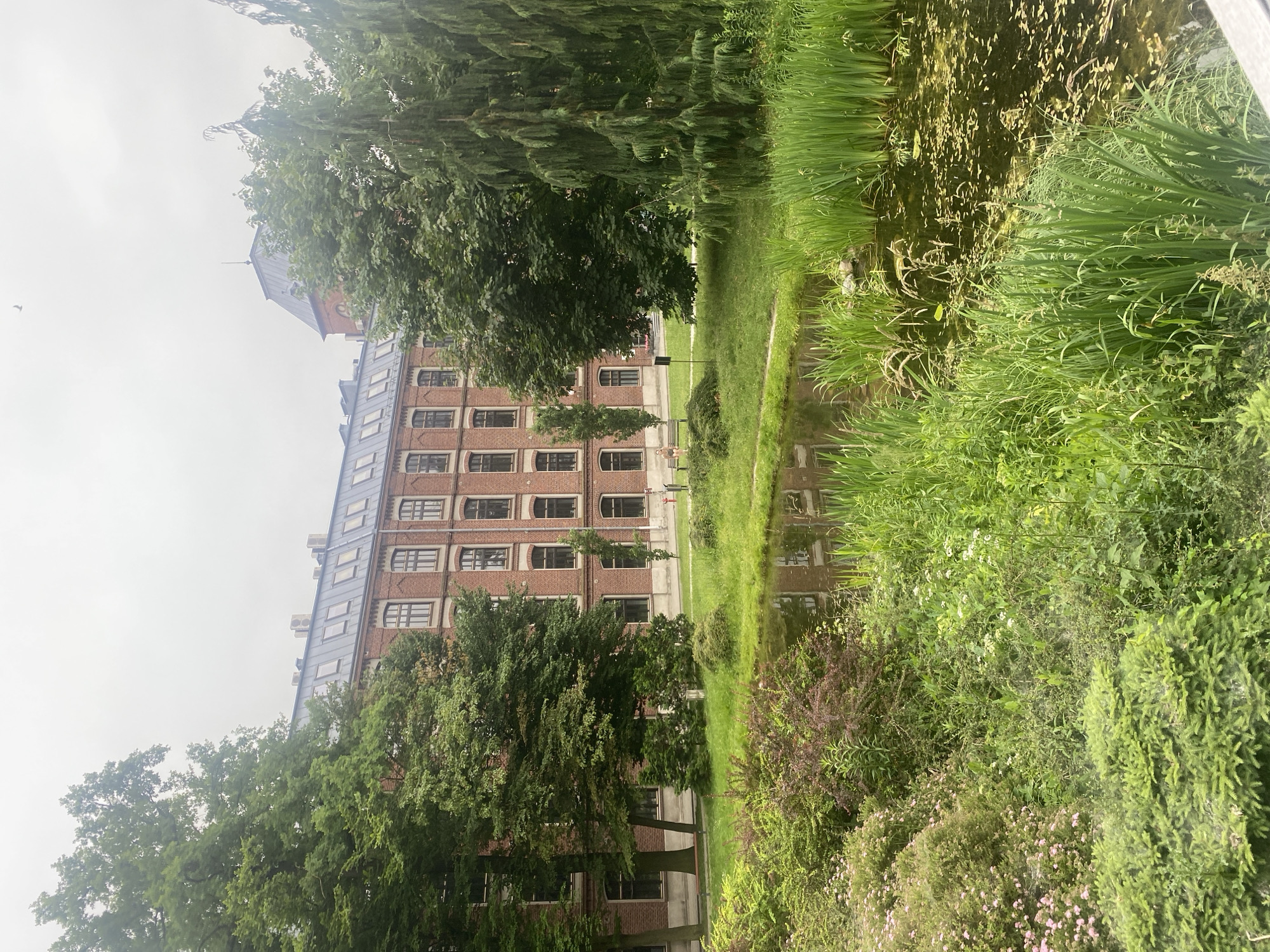 The image depicts a tranquil scene of the Old Market Square in Łódź, Poland, on a cloudy day. In the foreground, a lush garden with a pond is visible, teeming with various plants and reeds. The water of the pond reflects the surrounding greenery and the overcast sky. Behind the garden, a large, multi-story brick building with a pitched roof and numerous windows stands prominently. The building appears to be an older architectural structure, possibly a former industrial building or tenement house. Trees with full green foliage are scattered throughout the scene, some framing the building and others bordering the garden. The overall impression is one of natural beauty and historical architecture coexisting harmoniously.