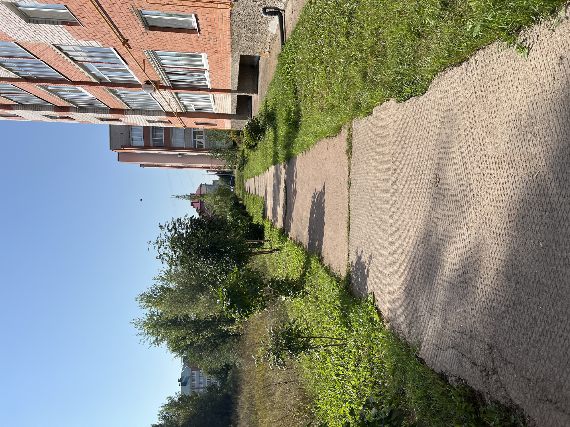 A concrete pathway, textured with a diamond pattern, curves through a residential area under a clear blue sky. The pathway is bordered on the right by a long, multi-story brick building with multiple windows, and on the left by lush green grass and scattered trees. Beyond the grass and trees, other residential buildings and more trees are visible in the distance. The overall scene depicts a calm, sunny day in an urban setting, likely a courtyard or a street in a residential neighborhood.