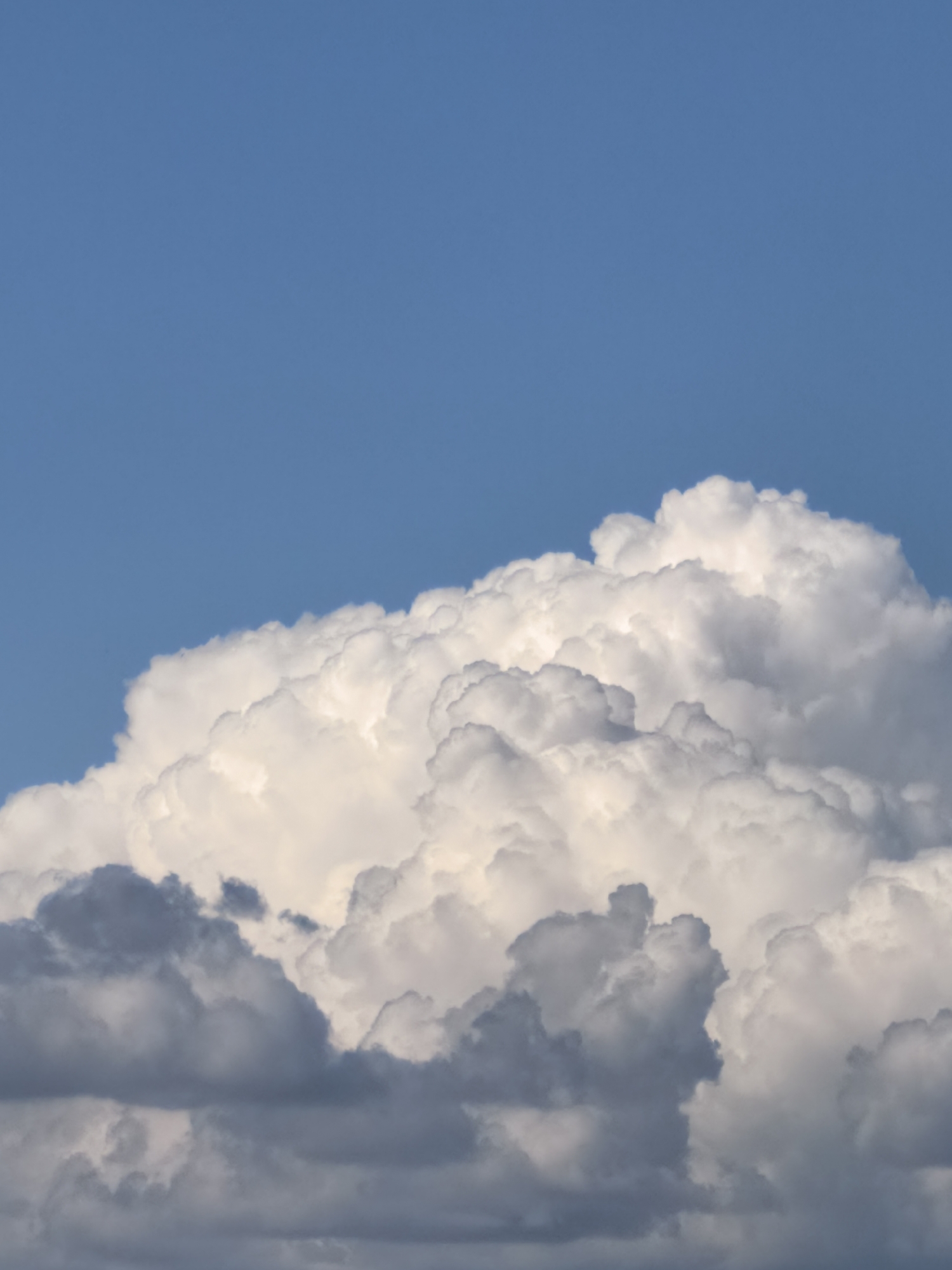 The image captures a close-up view of a large, fluffy cumulus cloud formation against a clear blue sky. The cloud is predominantly white, with areas of light gray and darker gray indicating depth and texture. The sunlight illuminates the upper portions of the cloud, creating bright highlights, while the lower sections appear shadowed. The bottom of the frame shows darker, denser cloud formations, suggesting layers of clouds. The scene is devoid of any man-made structures or visible human presence, indicating an outdoor, possibly natural, environment. There are no specific details that can place this image within a city or any particular location.