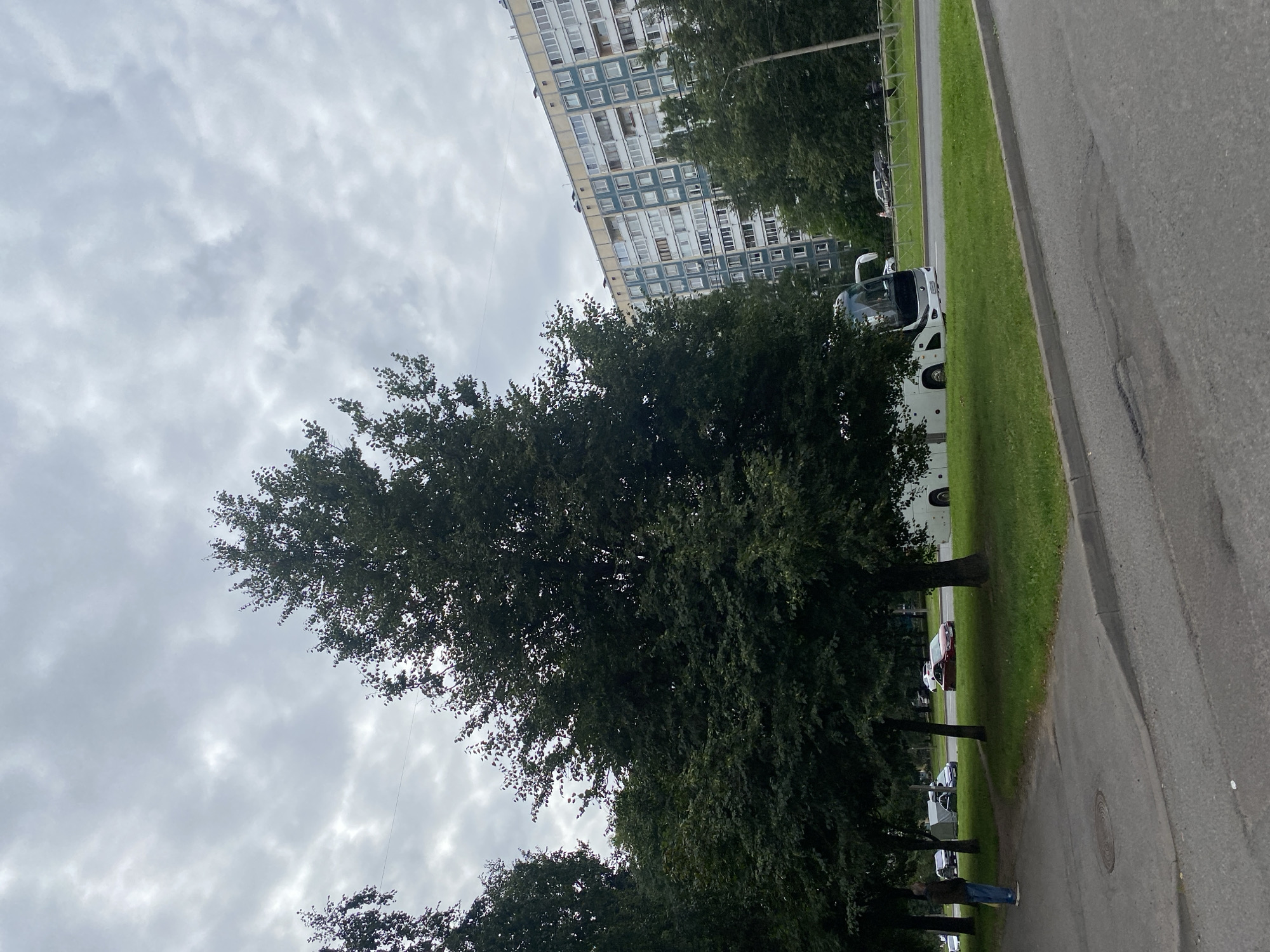 A person stands on a paved sidewalk near a grassy area with trees. In the background, a large white bus is parked on the side of a road. Beyond the road, a tall apartment building with light blue and white facades stands under a cloudy sky. The environment appears to be an urban setting in Saint Petersburg, Russia.
