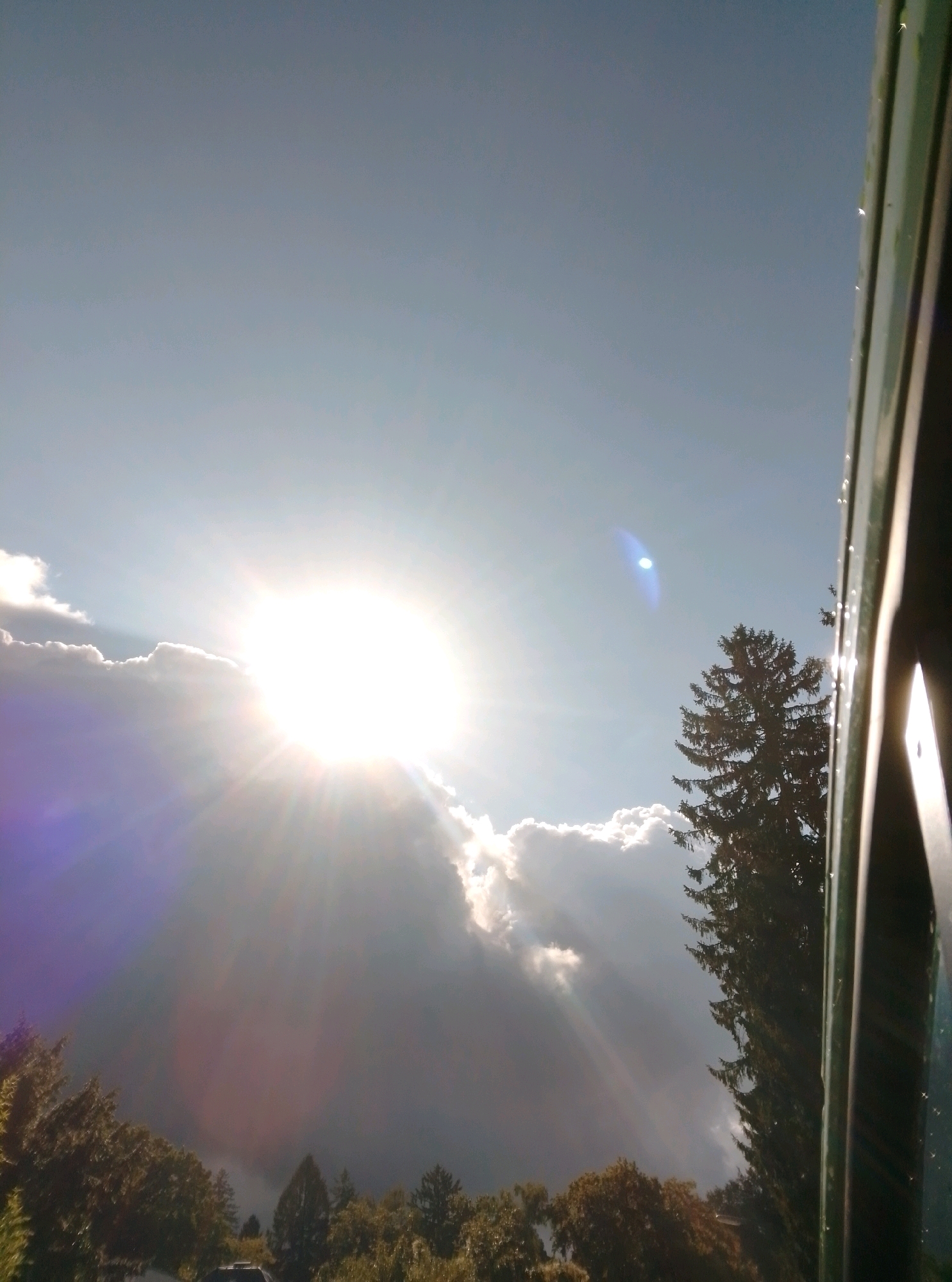 The image depicts a bright sun partially obscured by dark clouds, casting rays of light through the sky. A tall evergreen tree stands to the right of the frame, silhouetted against the sunlit clouds. In the foreground, the edge of a dark green structure, possibly a window frame or architectural element, runs vertically along the right side of the image. The lower portion of the image shows a line of trees and foliage. The scene appears to be outdoors, with the sun setting or rising, creating dramatic lighting. The location is specified as Hamburg, Germany. There are no people or discernible actions visible in the image.