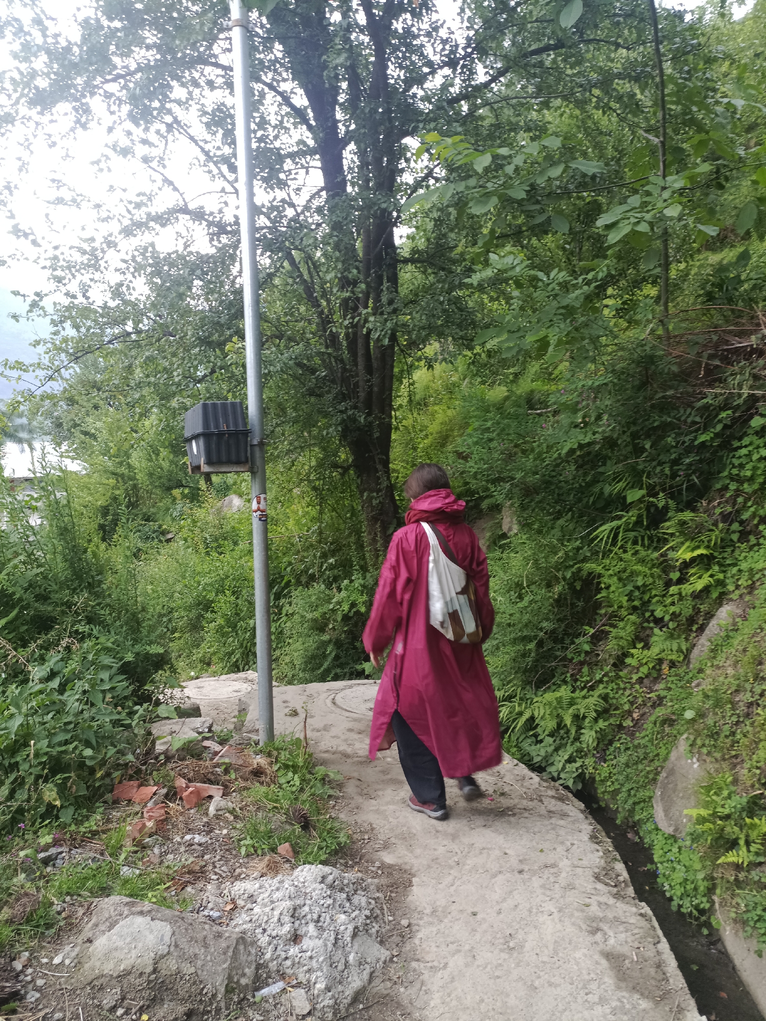A lone individual wearing a maroon hooded jacket and dark pants walks away from the camera on a narrow, uneven concrete path. They carry a light-colored messenger bag over their right shoulder. The path curves to the right, bordered by dense green vegetation on both sides. To the left of the path, a metal pole with a black electrical box attached stands amidst the greenery. Further to the left, a glimpse of buildings can be seen through the foliage. The environment appears natural and somewhat unkempt, with scattered bricks and debris near the path's edge. The ground slopes downward to the right, where a narrow, water-filled ditch runs parallel to the path. The sky is overcast, and the overall scene suggests a somewhat humid, outdoor environment in a rural or semi-rural setting. This scene is located in Vashisht, India.