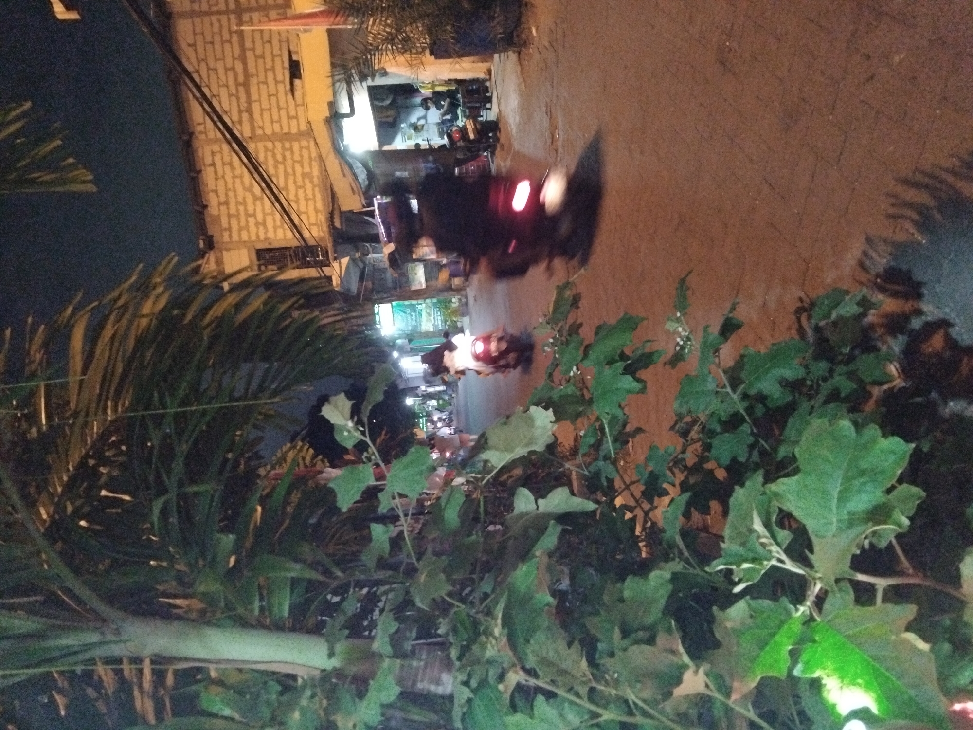 The image shows a street scene at night in Kepuh Kiriman, Indonesia. The foreground is dominated by the leafy branches of a plant, possibly a tree or shrub, with large green leaves and some lighter green foliage. Behind this, a paved road stretches into the distance.
Several people are present, primarily on motorcycles. Two motorcycles are clearly visible in motion on the road. One is red and white with a rider wearing a white shirt, moving away from the viewer. Further down the road, a darker-colored motorcycle is moving towards the viewer, its brake lights illuminated. The rider of this motorcycle is wearing dark clothing. Another motorcycle is visible further back, with a rider wearing a dark helmet.
On the right side of the road, there are several buildings with open fronts, suggesting they might be shops or stalls. One building has a brick facade and electrical wires running across its exterior. Lights are visible inside these establishments, casting a warm glow onto the street. In the background, the sky is dark, indicating nighttime. The overall atmosphere is that of a typical evening street in a moderately populated area.