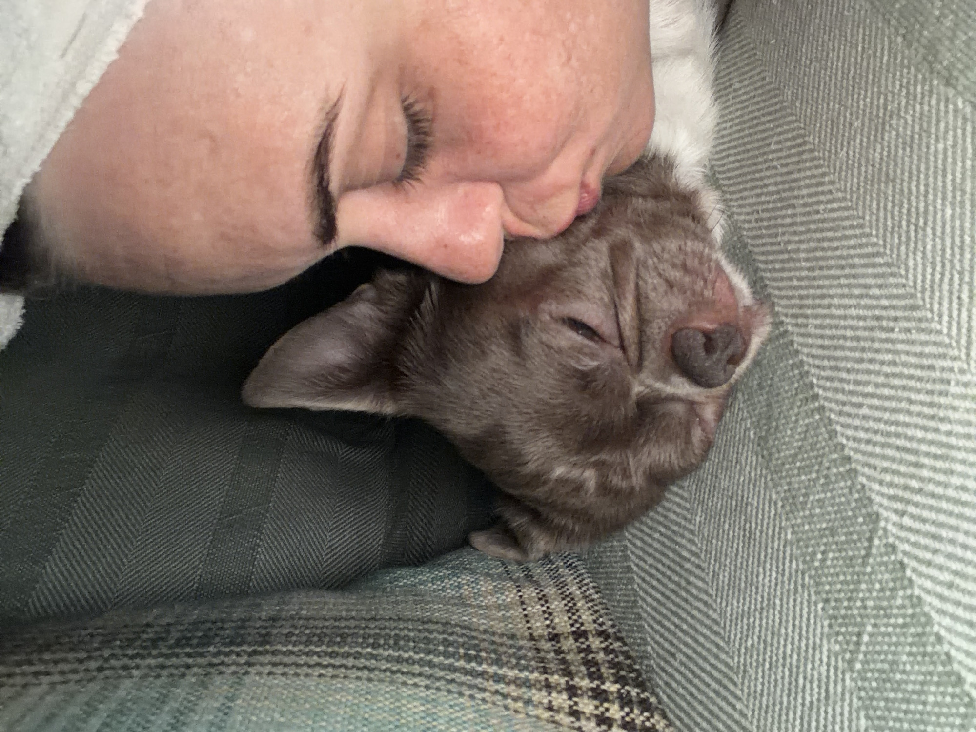 A person is seen with their face pressed against a sleeping animal, possibly a dog or cat, on what appears to be a couch or bedding. The person's eyes are closed, and their face is positioned close to the animal's head. The animal is also sleeping, with its eyes closed. The scene suggests a moment of affection or companionship. No information indicates the location is in Votkinsk, Russia.