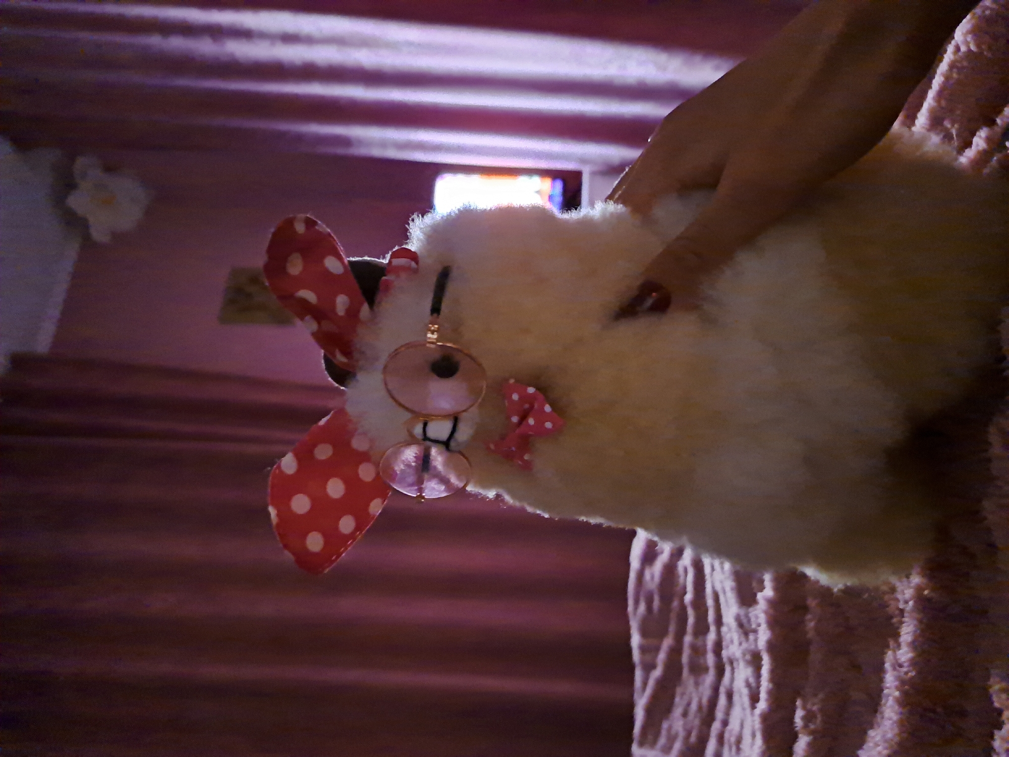 A close-up shot depicts a stuffed, fluffy, cream-colored toy rabbit with red and white polka-dotted ears and a pink polka-dotted bow tie. The rabbit also has round, rose-tinted glasses. A human hand with red nail polish is holding the toy. The background suggests an indoor setting with pink walls. A section of a window is visible in the background with what looks like multiple squares of colored glass. The location is unknown.