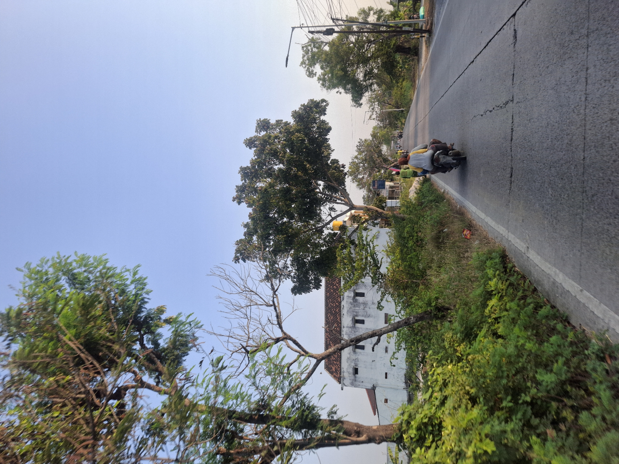 In Pucangtelu, Indonesia, a two-lane asphalt road stretches into the distance under a clear, pale blue sky. On the left side of the road, a white building with a tiled roof and several small, dark rectangular windows stands partially obscured by lush green vegetation and trees. A prominent dead tree with bare branches leans towards the road, contrasting with the vibrant foliage. On the right side of the road, trees and utility poles line the path. A motorcycle carrying two people, one wearing a yellow and grey shirt and the other in a yellow shirt, travels away from the viewer down the right lane of the road. The road surface exhibits cracks and some wear. The overall scene depicts a rural or semi-rural setting on a bright, possibly late afternoon day.
