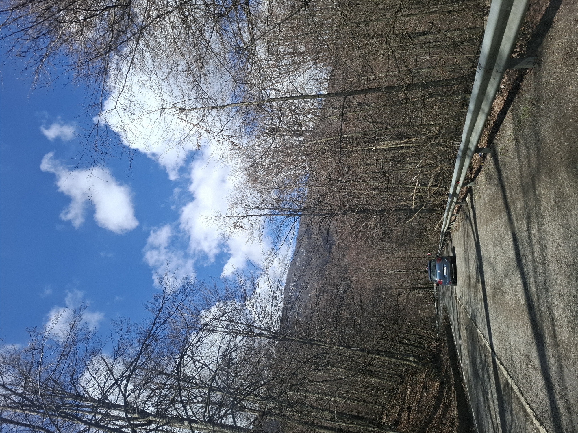 A road curves through a wooded area near Barziya, Bulgaria. The road is lined with a metal guardrail on the right and bare trees on both sides. A blue car travels along the road. The sky is blue with scattered clouds visible through the tree branches.