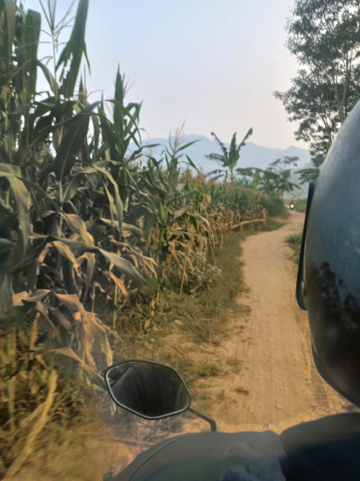 The image depicts a dirt road with a motorcycle rider's perspective from behind, looking forward. The rider is wearing a black helmet, and a portion of the motorcycle's handlebar and mirror are visible in the foreground. The road winds through a rural area lined with a cornfield on the left and vegetation on the right. In the distance, a small light, likely from another motorcycle, is visible on the road. Hills and a hazy sky form the backdrop. The scene is indicative of a rural environment in or near Wiroko, Indonesia.