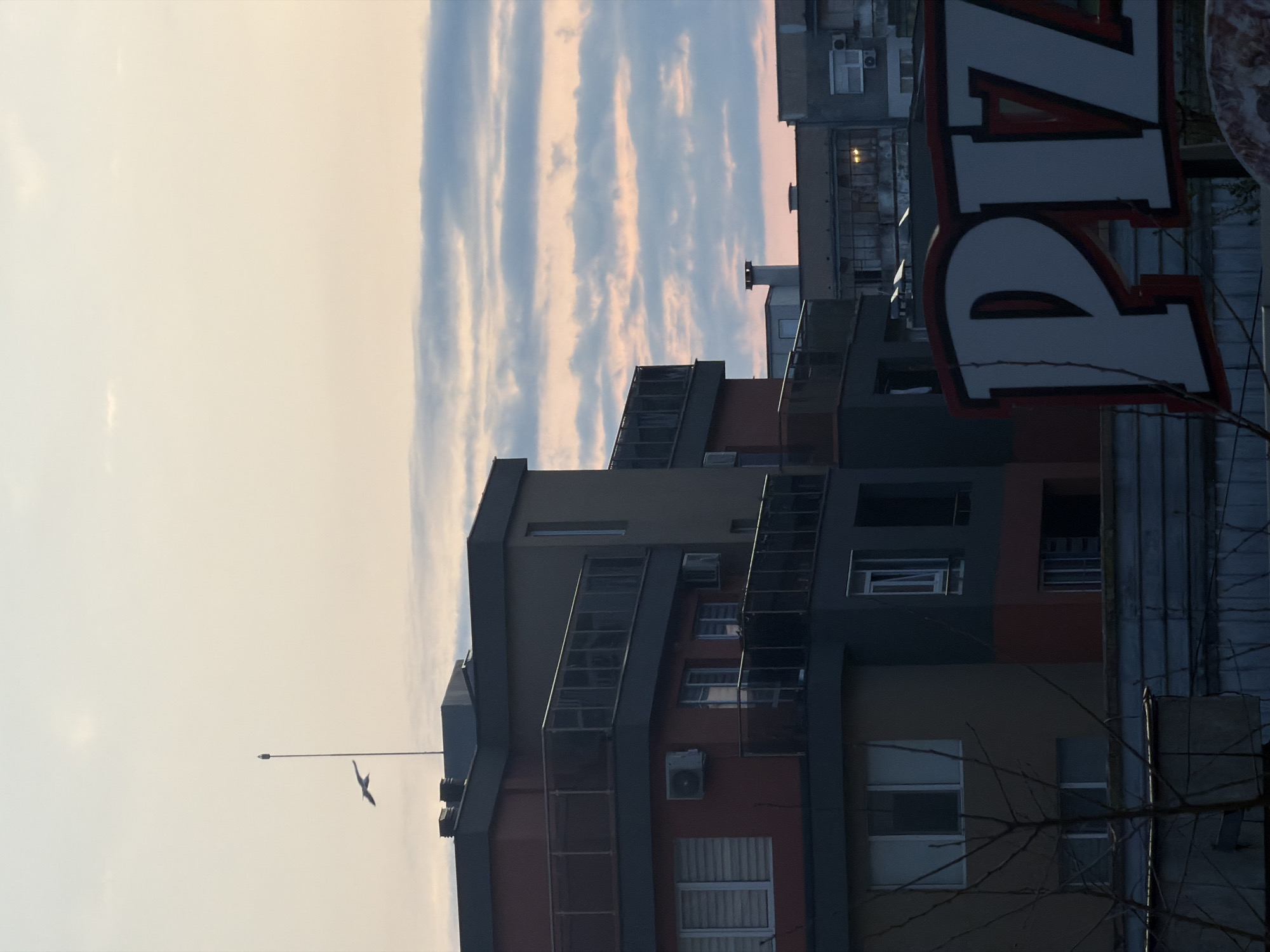 Captured from an upward-tilted perspective, the image showcases a cityscape, featuring an overcast sky and a cluster of buildings, including a "PIZZA" sign, with a bird in flight. The scene is probably located in Varna, Bulgaria. The buildings display an array of architectural styles and are layered in the composition. The image is rotated 90 degrees counter-clockwise.