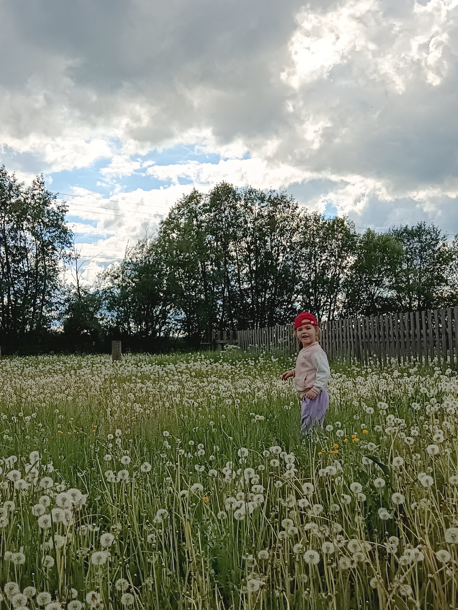 A full-length view of a young child in a dandelion field is presented. The child, wearing a red cap, a light-colored long-sleeved shirt, and purple pants, stands amid a dense field of tall dandelions with fluffy, white seed heads. The background consists of a wooden fence, trees, and a cloudy sky with patches of blue. The scene appears to be rural, possibly in the city of Jelpachiha, Russia.