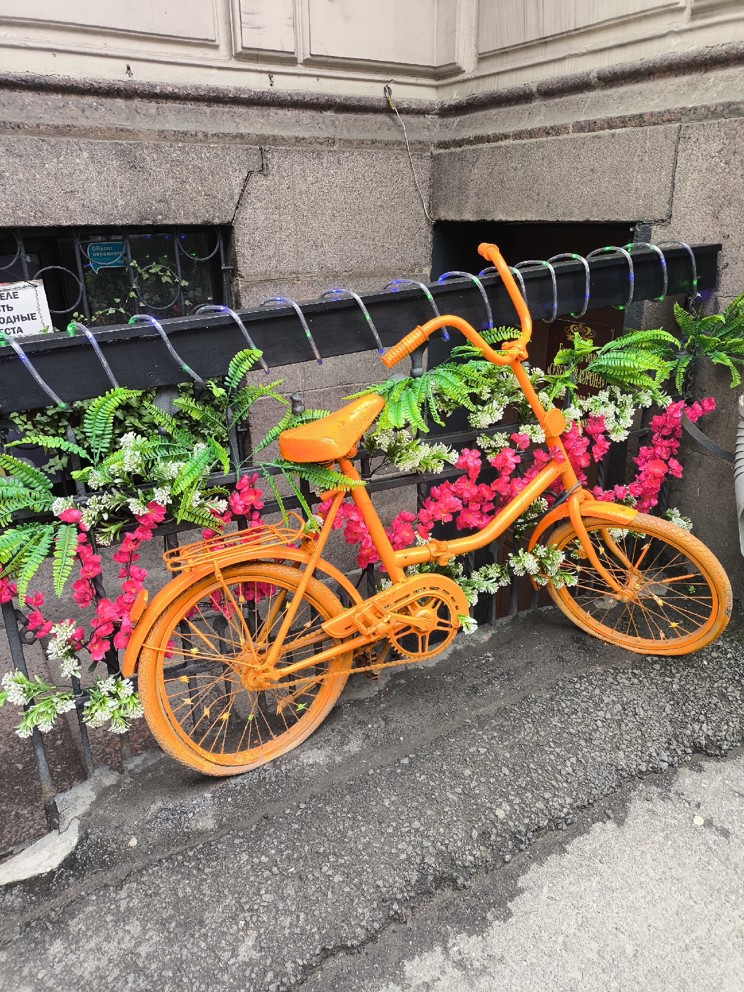 An orange bicycle is leaning against a grey stone wall. The bicycle is decorated with artificial pink and white flowers and green foliage. It is also adorned with string lights that have blue and green LEDs.
The wall appears to be part of a building, with a window visible behind the bicycle. The window has a metal grate and a sign with text that is difficult to read but appears to be in a foreign language. Another sign, also with foreign text, is attached to the wall to the left of the window.
The ground in front of the wall is a rough asphalt surface, with some debris. The scene is outdoors, and the lighting suggests it might be daytime, though the sky is not visible. There are no people present, and no obvious activity is taking place other than the display of the decorated bicycle.
The overall impression is one of urban decoration, possibly a quirky storefront or a decorative element in a public space. The bright orange of the bicycle contrasts with the muted tones of the wall and ground, making it a focal point.