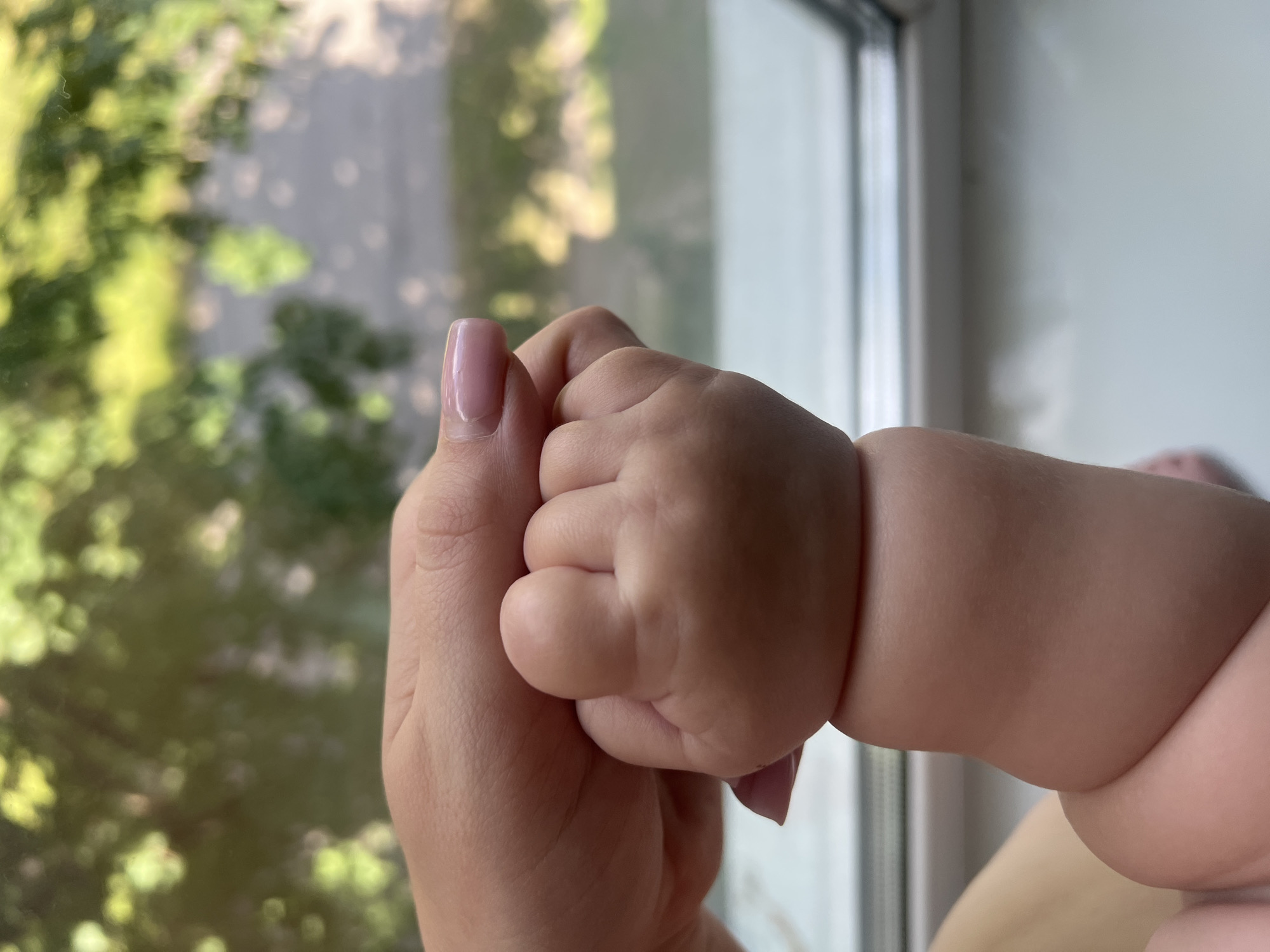 A close-up, waist-up shot shows a baby's arm and a woman's hand. The baby's arm is chubby and pink, with creases around the elbow. The woman's hand is holding the baby's fist. The background is blurred, but appears to be a window with green foliage and a street visible outside. The overall lighting suggests it is daytime.