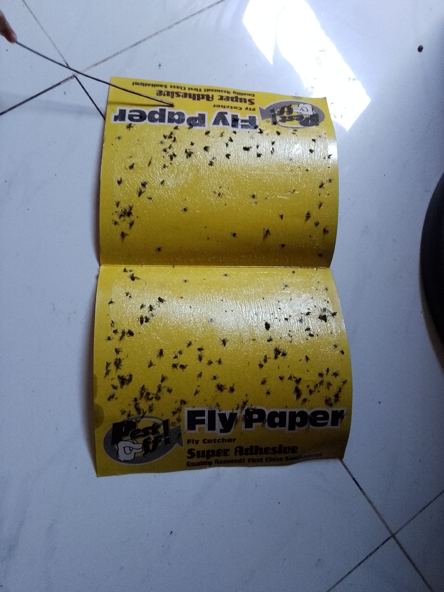 The image shows a yellow flypaper product with numerous dead flies adhered to its surface. The flypaper is folded in half, revealing text printed on it. The top half of the flypaper reads "Fly Paper Super Adhesive Fly Catcher Quality Assured First Class Sanitation". The bottom half of the flypaper reads "Fly Paper Super Adhesive Fly Catcher Quality Assured First Class Sanitation". The flypaper is placed on a tiled floor. The scene is lit by overhead light, casting shadows on the floor. There is no indication of location within Davao City, Philippines.