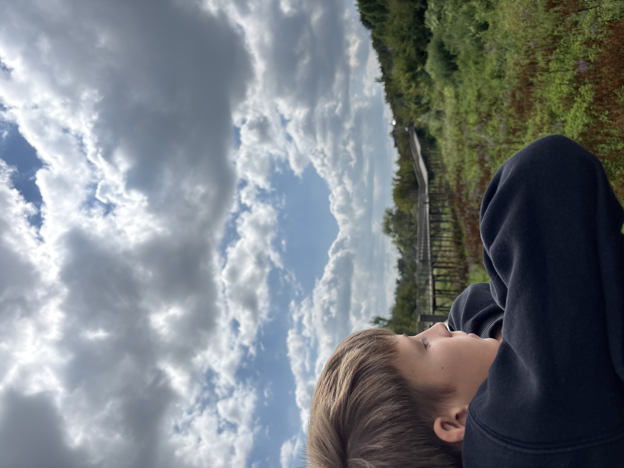 The image shows a close-up of a young boy from the shoulders up, looking to the left. He has light brown hair and is wearing a dark blue hooded sweatshirt. His arms are bent and crossed in front of him, with his hands resting near his chin. The background is a landscape with a wooden boardwalk winding through a field of green vegetation and some small purple flowers. Lush green trees and foliage line the horizon. The sky is partly cloudy with dramatic, gray and white clouds against a blue sky. The scene appears to be an outdoor natural area, possibly a park or nature reserve. The image does not provide specific information to identify a location in Orenburg, Russia.