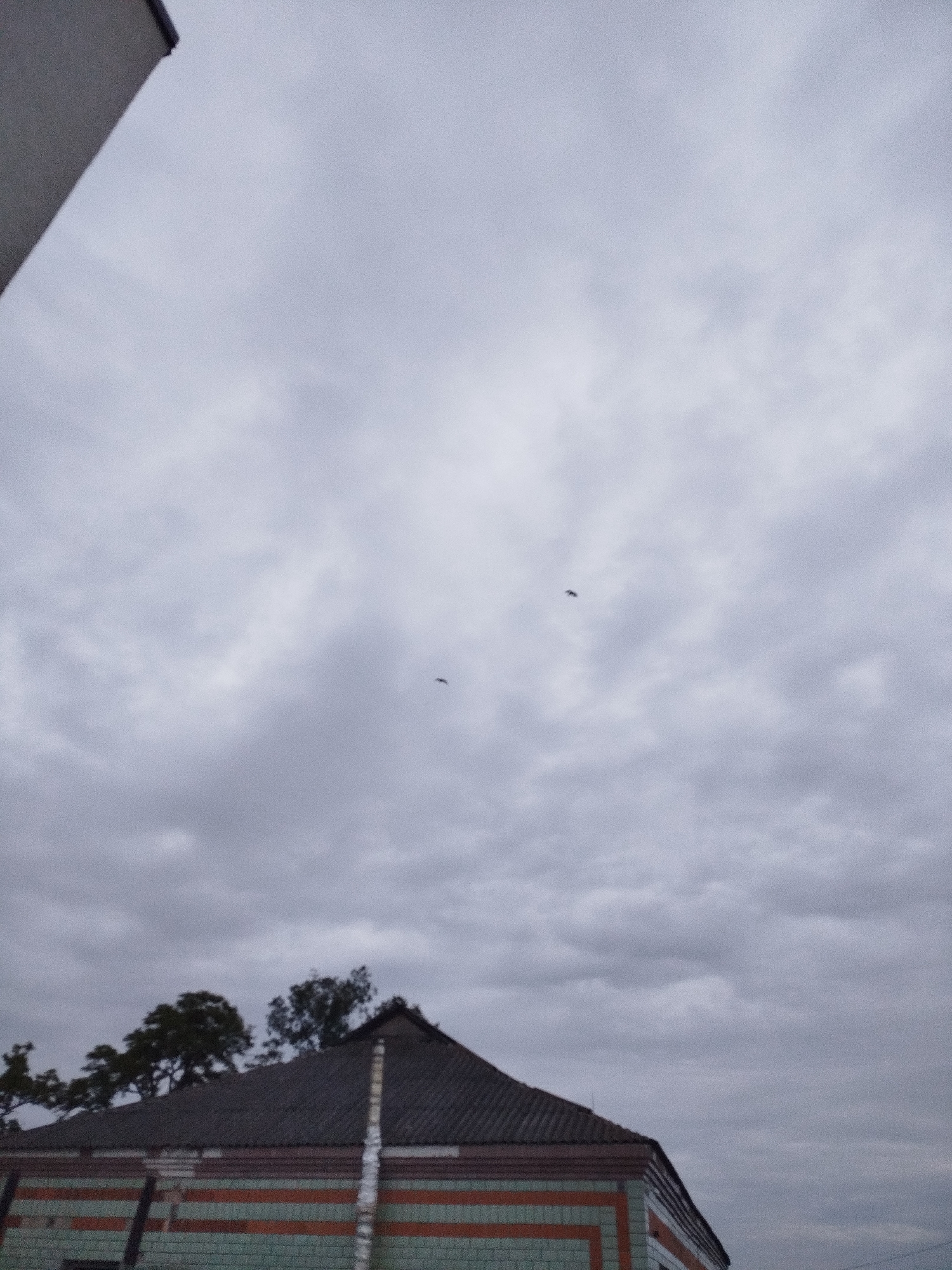 The image presents an outdoor scene in Ustyvytsia, Ukraine, dominated by a heavily overcast sky. The sky is filled with light to dark grey clouds, indicating a dull and cloudy day with diffused light. Two small, dark bird silhouettes are visible in the upper-middle section, captured in flight against this grey backdrop.
In the lower part of the frame, the upper portion of a building is visible. This structure features a dark, pitched roof made of tiles. Its visible walls are constructed from brick and painted with horizontal stripes in alternating light blue-green and orange-brown hues. A vertical pipe or conduit runs along the corner of this building. Behind the roofline, several dark green trees are partially visible, suggesting a natural environment surrounding the structure. A fragment of another grey architectural element, possibly a wall or the corner of a building, is present in the upper left corner of the frame.
No people or visible text are present in the image. The primary activity depicted is the flight of the birds. The overall mood is calm and subdued, reflective of the overcast weather conditions.