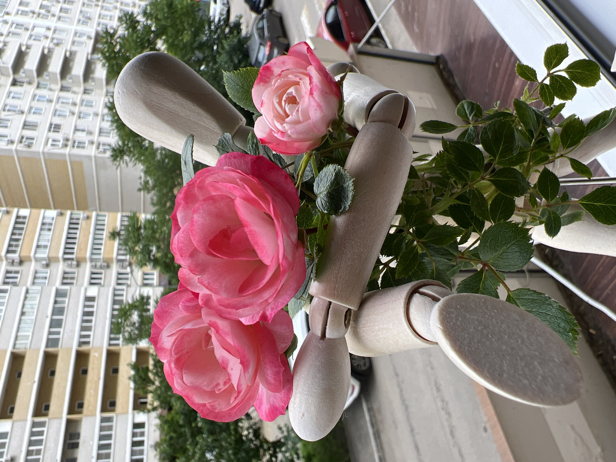 A close-up shot depicts a wooden mannequin holding pink roses and green foliage. The background features a multi-story building with numerous windows, characteristic of an urban environment. The presence of vehicles suggests a street scene. Based on the architectural style of the building, the image might be taken in the city of Krasnodar, Russia.