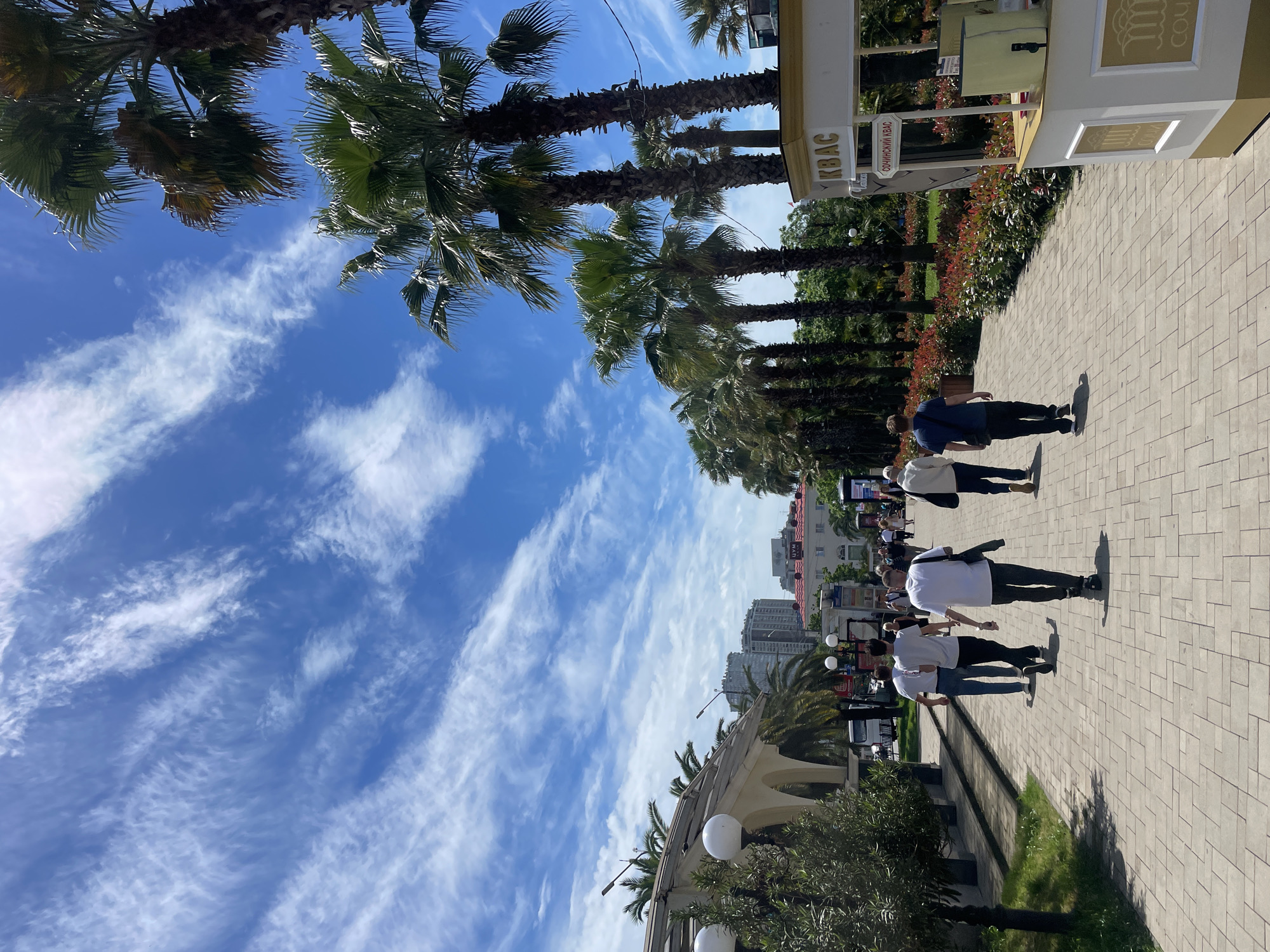 The image shows a street in Sochi, Russia. The view is angled upwards, emphasizing the sky filled with wispy clouds. A line of palm trees flanks the street. Several people are walking along the paved pathway. There is a small kiosk or stand on the right side of the frame. Buildings are visible in the background. A row of street lamps is on the left side of the street.