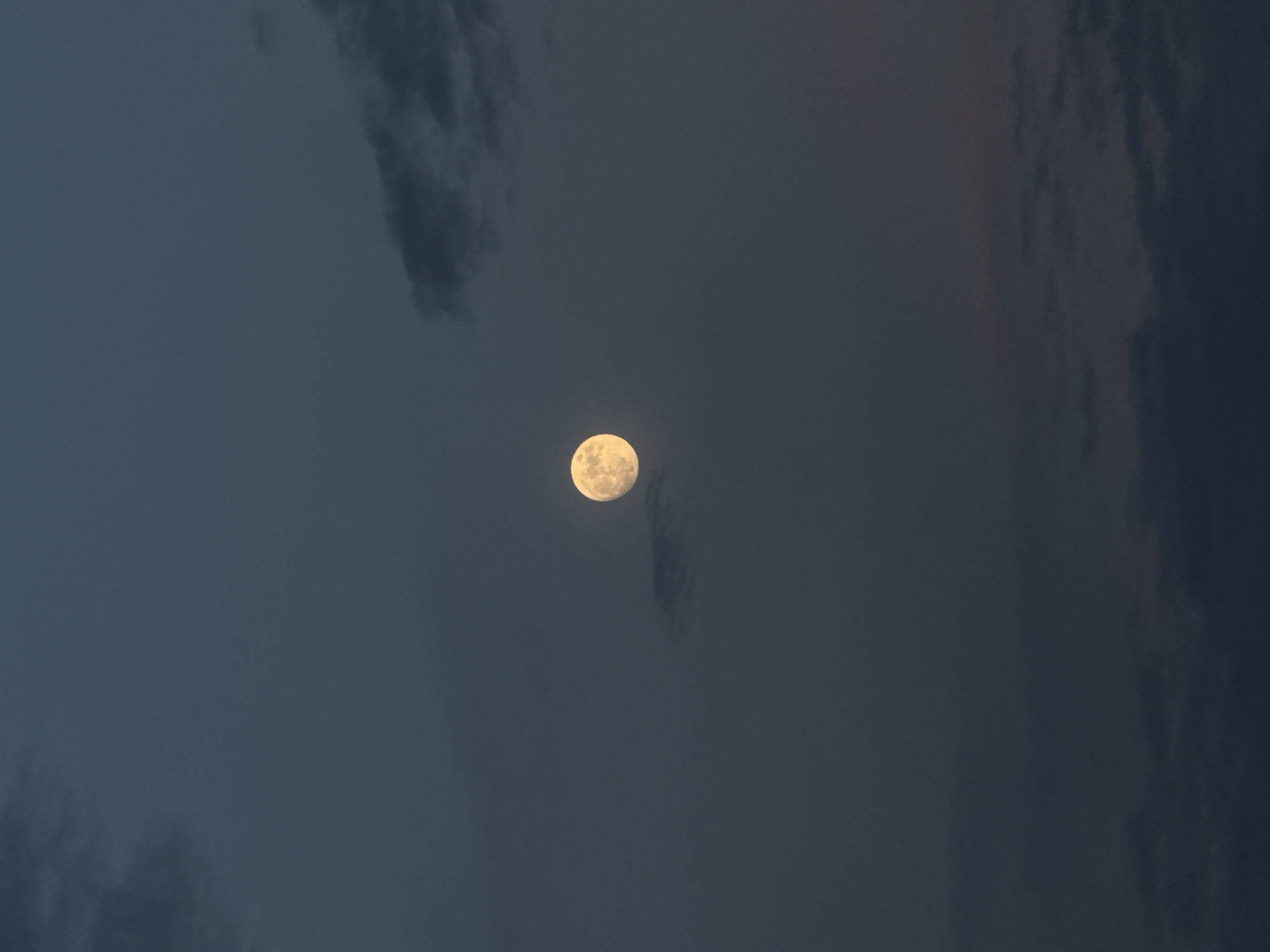 The image shows the moon in a dark, cloudy sky. The moon is nearly full and appears to be slightly yellow. Clouds are scattered across the sky, some darker than others. It is unlikely to identify the location in Civitavecchia, Italy, without further visual reference or geo-specific information.