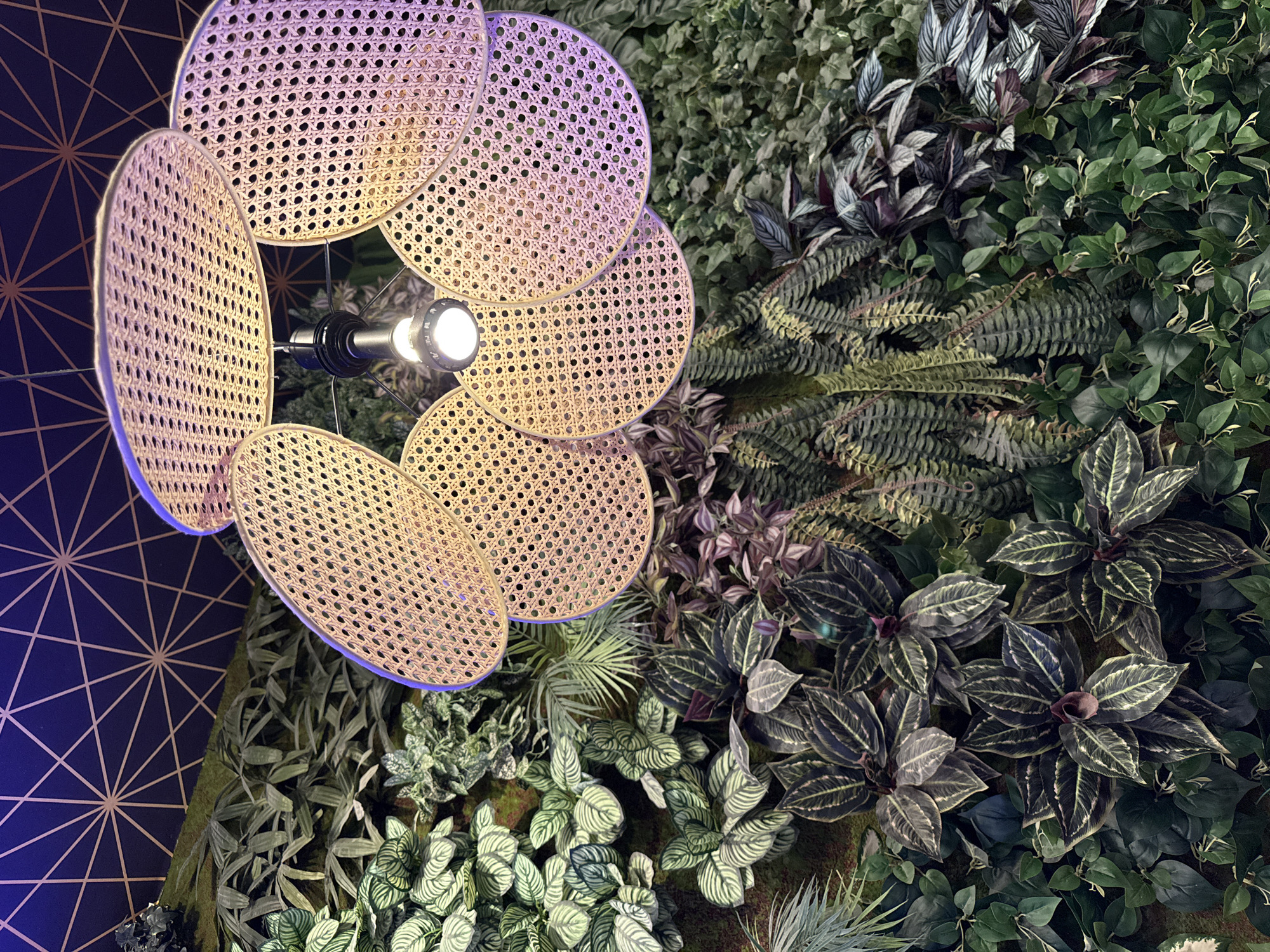 A close-up shot shows a decorative woven rattan light fixture with a bright LED bulb hanging from a dark ceiling with a geometric pattern. The light fixture is positioned above a lush vertical garden filled with various green plants, including ferns and broad-leafed plants with dark, patterned leaves. The lighting casts a warm glow on the fixture and illuminates the foliage. The scene is set in the city of Carretera De San Martín, Spain.