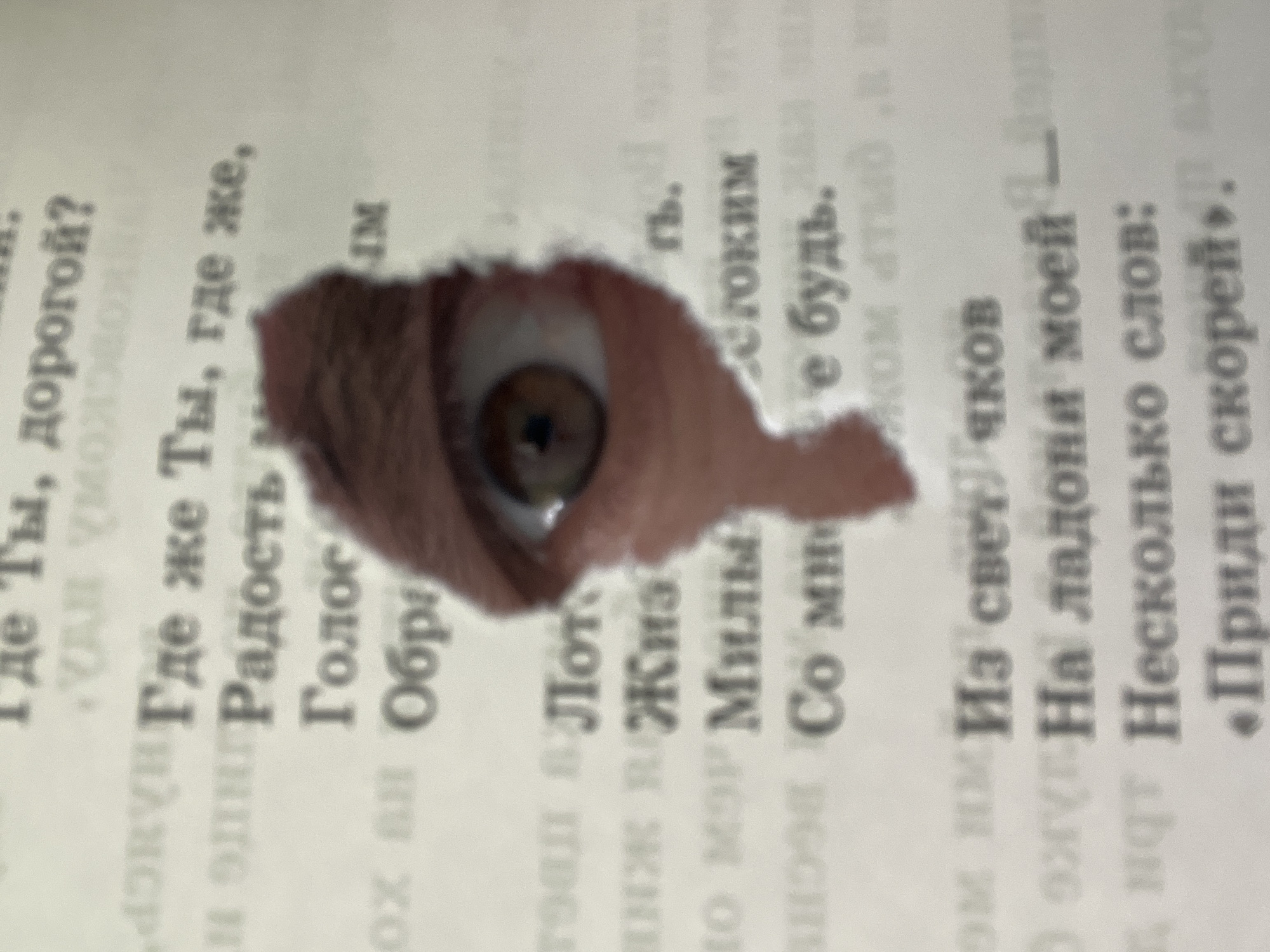 A close-up shot captures an eye peeking through a torn hole in a page of text. The text is in Russian and appears to be from a book or printed document. The eye is light brown with visible eyelashes. The torn edges of the paper surround the eye, creating a framed effect. No specific location is discernible.