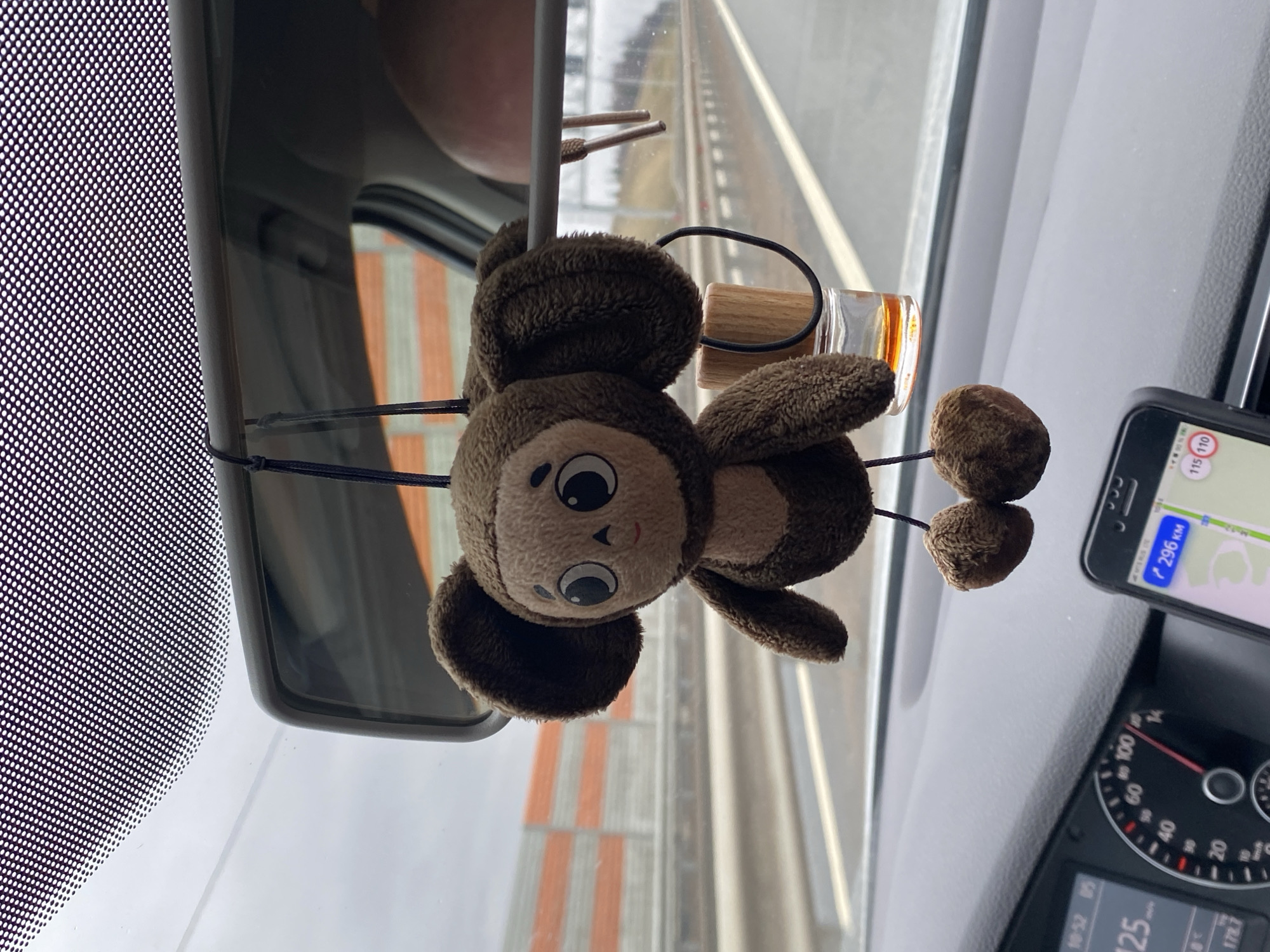 A snapshot taken from inside a car shows a brown plush monkey toy hanging from the rearview mirror. Next to the monkey, there's a small, clear bottle with a wooden top. A mobile phone mounted on the dashboard displays a navigation app indicating a distance of 296 km. The car's speedometer shows a reading of 125. The time on the dashboard reads 10:52. The car is in Ustinovo, Russia.