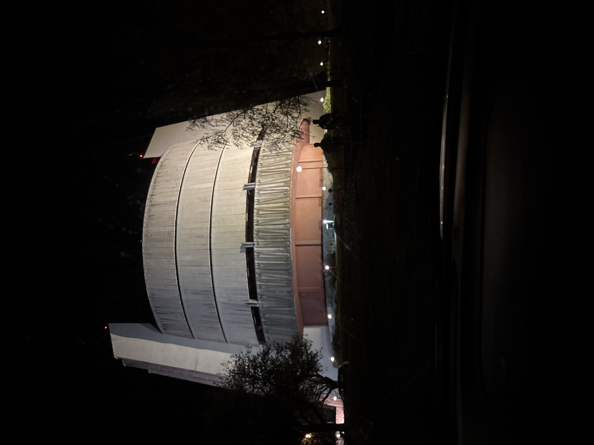 The image shows the Pleven Panorama, a monument in Pleven, Bulgaria, at night. The panorama is illuminated, showcasing its distinctive cylindrical shape and layered facade. There's a tree with bare branches partially obscuring the view of the monument. Some walkway lights are visible along the side of the building. The rest of the scene is dark, indicating a nighttime setting. The photograph is taken from a slightly rotated perspective.