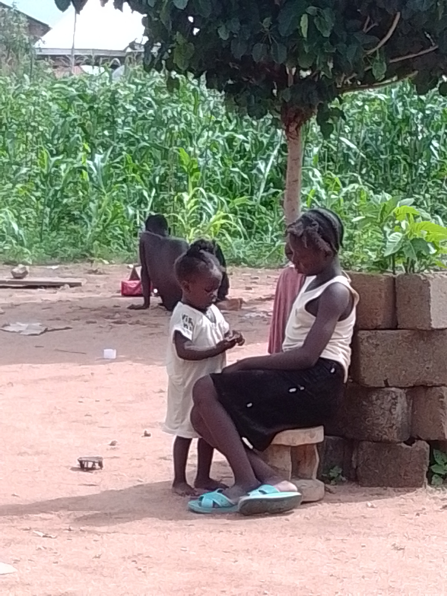 The image depicts an outdoor scene with several people and a natural setting. In the foreground, a young girl wearing a white dress is standing and looking down at something she is holding. Next to her, an older girl or young woman is seated on a stool, leaning against a stack of bricks. She is wearing a white tank top and dark shorts. Both girls have dark skin and dark hair styled in braids.
In the background, a dark-skinned person is sitting on the ground. Further back, a dense field of green corn stalks stretches across the scene, with a tree providing shade over the seated older girl. The ground appears to be dirt or sand, with scattered objects such as a small toy and some pieces of paper. The lighting suggests it is daytime, possibly late morning or afternoon, with a slight overcast or shade from the tree. The overall atmosphere seems peaceful, with the younger children engaged in a quiet activity. The location appears to be rural or semi-rural, given the presence of the corn field and the rustic construction materials. There is no visible text in the image.