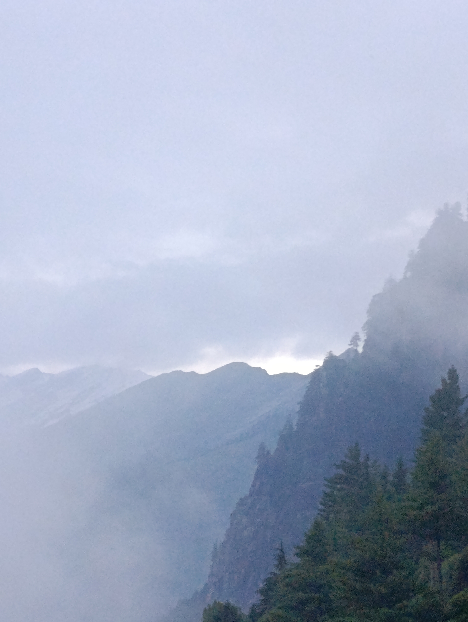 The image depicts a misty mountain landscape with layers of fog obscuring the view. In the foreground, dark green pine trees populate a steep, rocky slope. The mountains recede into the distance, appearing as hazy blue silhouettes against a pale, overcast sky. The overall impression is one of a serene, untouched natural environment shrouded in mist.