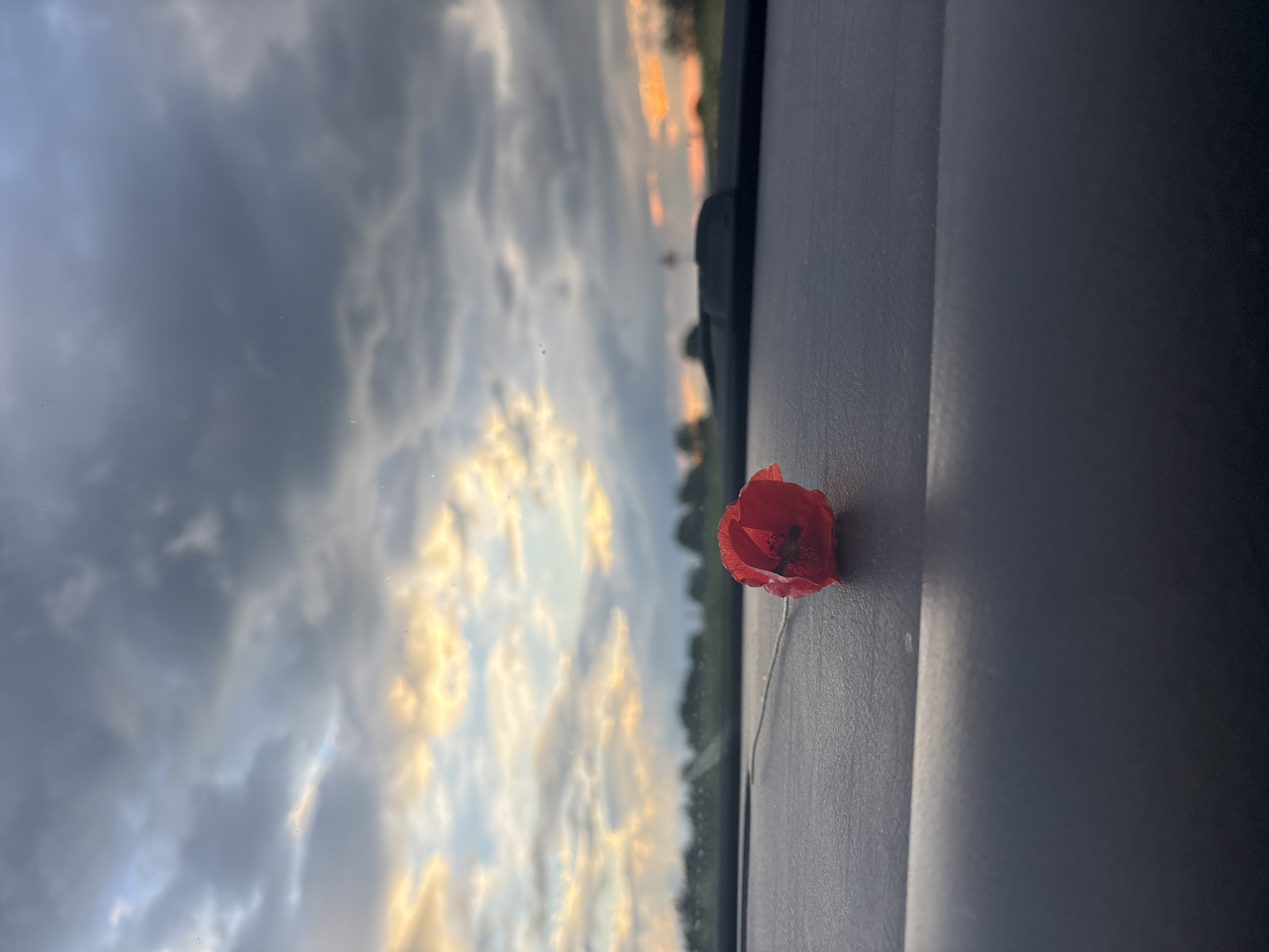 A red poppy flower lies on a dark grey surface, presumably a car dashboard. The background shows a cloudy sky with hues of gold, possibly indicating sunrise or sunset. The photograph was taken in Ognyanovo, Bulgaria.