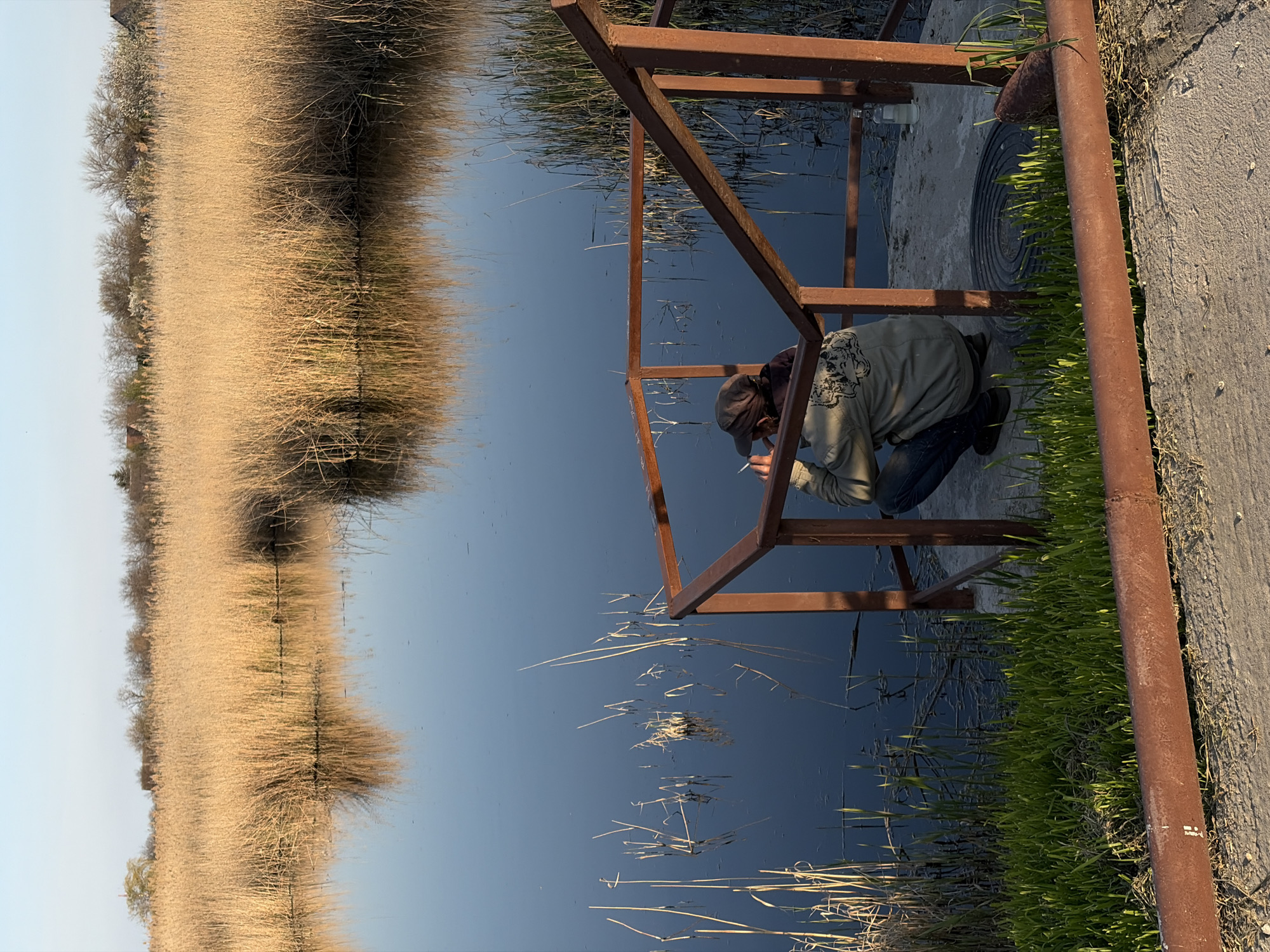 The image captures an outdoor scene in what appears to be a natural or semi-natural water environment, likely in Novopokrovskaya, Russia. The main subject is a person crouching by the edge of a calm body of water, possibly a canal or river. They are wearing a cap, a light-colored jacket with a pattern on the shoulder, and dark trousers. The person is holding a lit cigarette, suggesting a moment of rest or contemplation.
The water, which dominates the central part of the frame, is still and reflective, mirroring the clear sky and the dried vegetation along its banks. On the left side, a vast expanse of tall, dried reeds or grasses stretches along the waterline, extending into the distance under a bright, clear sky. Their warm, golden-brown color indicates a dry season or mature state.
On the right side of the image, where the person is situated, there is a concrete or paved bank. A rusty, brown metal structure, resembling a frame or small platform, extends over the water from this bank. Below this structure, near the concrete edge, some vibrant green grass grows. A circular black object, possibly a manhole cover or drainage grate, is visible on the concrete surface, along with a white plastic bottle.
The lighting suggests either early morning or late afternoon, with warm tones illuminating the reeds and casting soft shadows. The overall atmosphere is peaceful and quiet. No discernible text is visible on any objects in the image.