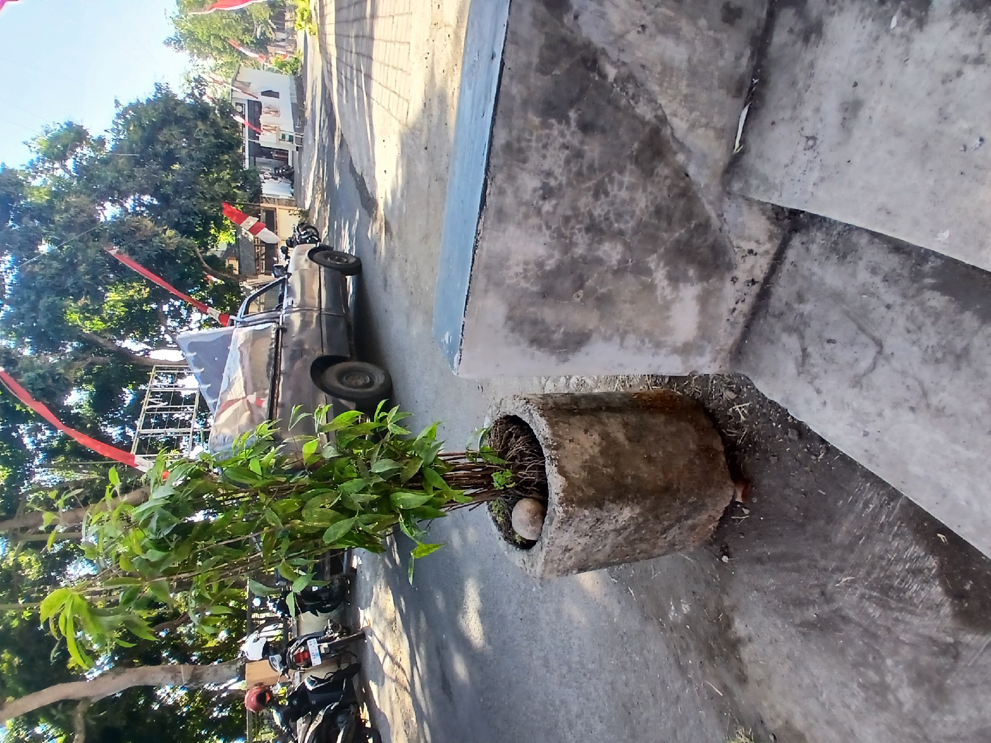 A medium shot captures an outdoor scene in Pejaten, Indonesia. In the foreground, a concrete planter holds a tall green plant with numerous leaves and visible roots. A single, rounded brown stone rests on top of the soil in the planter. To the right, a rough concrete bench or structure occupies the right side of the frame, with visible stairs leading up to it. In the mid-ground, a dark-colored pickup truck with a tarped bed is parked on a paved road. Behind the truck, several motorcycles are parked on the side of the road, and the presence of Indonesian flags with red and white stripes suggests a festive occasion or national holiday. Trees line the background, with some foliage visible, and a bright sky suggests it is daytime. The overall impression is of a street-level view in a tropical urban environment.