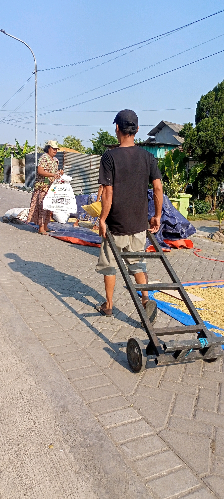 In the city of Gempolklutuk, Indonesia, a man wearing a black cap and t-shirt is pushing a metal trolley with two wheels. He is facing away from the camera, and appears to be assisting a woman. The woman, wearing a hat and a patterned shirt, is holding a large white bag with Indonesian writing on it. She is standing on a paved surface next to a large blue tarp spread on the ground. Scattered on the tarp are yellow grains, possibly rice or corn. In the background, there are houses, trees, and a street light. The scene suggests a rural or semi-rural setting, possibly related to agricultural activities.