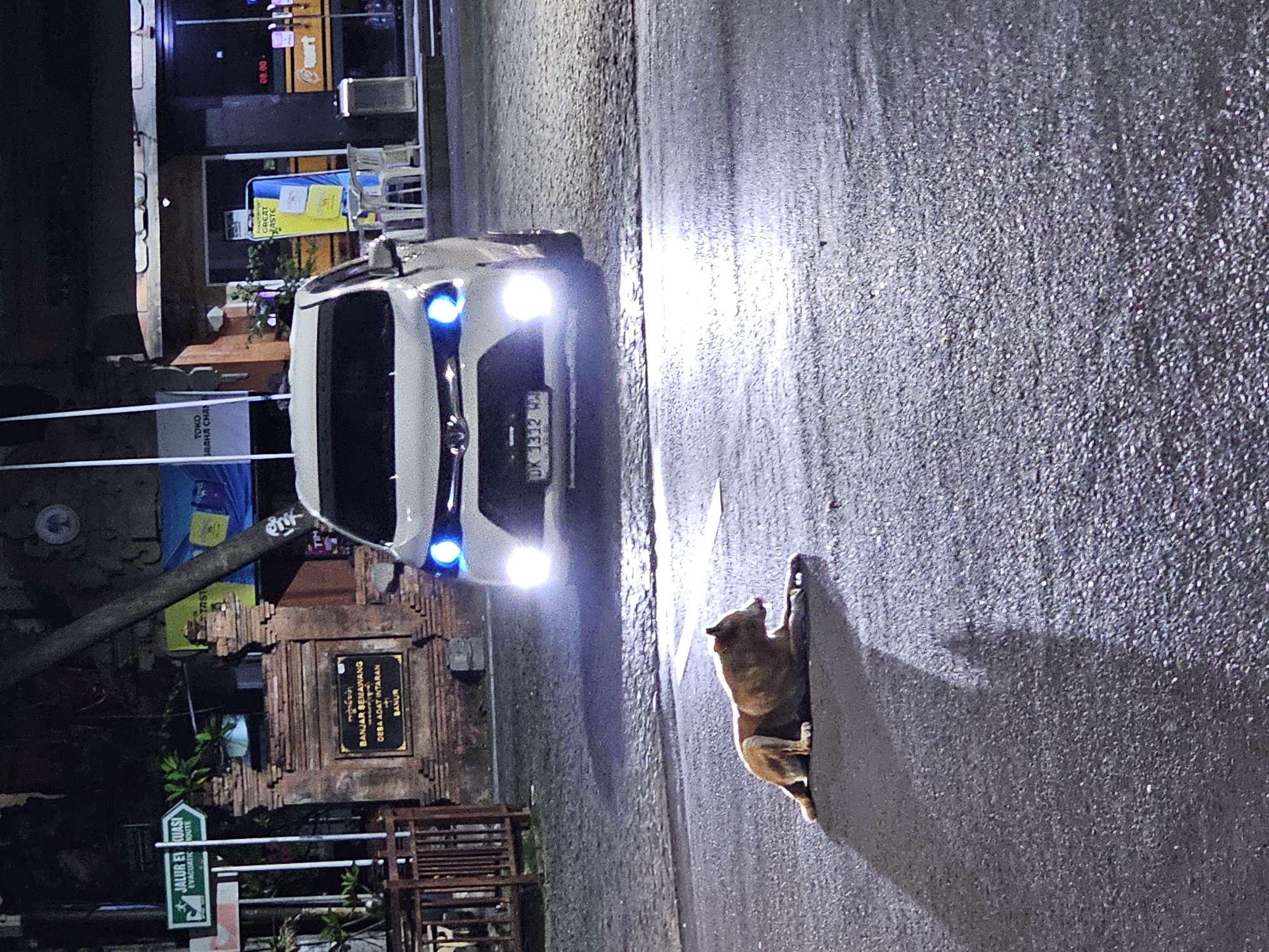 The image captures a scene at night in Denpasar, Indonesia. A white car with blue-tinted headlights is parked on the side of a dark asphalt road. A medium-sized brown dog is seated on the pavement to the right of the car, casting a long shadow. Buildings and signs line the roadside, including a sign written in Indonesian, reading "BANJAR SEMAWANG," which is an administrative division of the village. Another sign reads "JALUR EVAKUASI," indicating an evacuation route. A license plate on the car reads "DK 1332," where "DK" indicates it is registered in Bali. Streetlights cast a dim illumination over the area.
