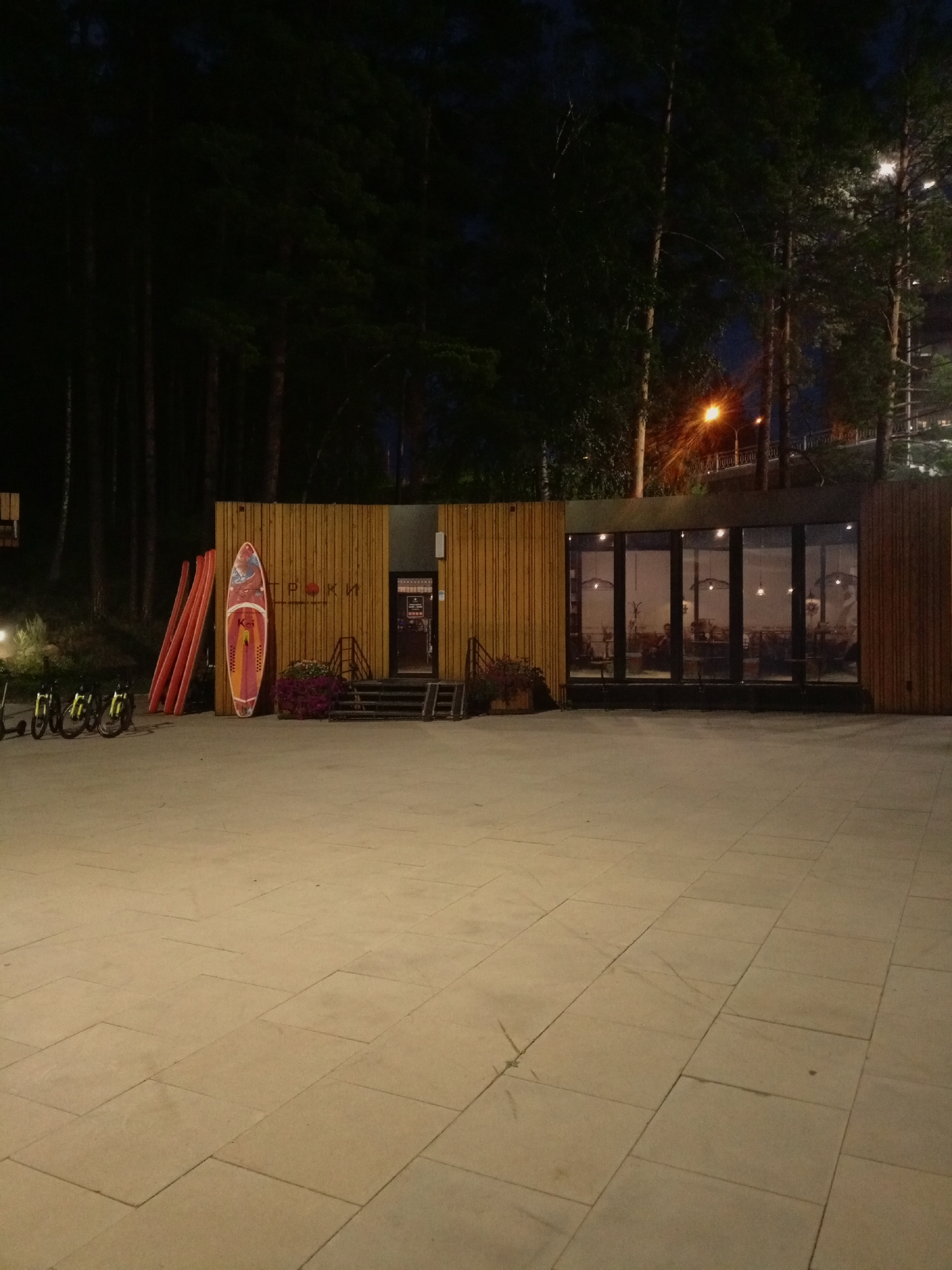 The image depicts an outdoor scene at night in the city of Zheleznogorsk, Russia. In the foreground, a paved area with large square tiles serves as a walkway or plaza. To the left, a row of bicycles, likely rental bikes, are parked. Adjacent to the bicycles, several tall, red, paddleboard-like objects are leaning against a wooden building. A single, colorful paddleboard stands upright in front of the building.
The building itself is a modern structure with a wooden facade and large, floor-to-ceiling windows. Through the windows, the interior of what appears to be a cafe or restaurant is visible, with tables and chairs and several patrons seated inside. The building is illuminated from within, casting a warm glow. Flower planters with purple blooms are situated near the entrance to the building. A set of stairs leads up to an entrance.
In the background, a dense forest of tall trees creates a dark silhouette against the night sky. A streetlamp with an orange glow is visible among the trees, and further in the distance, a bridge structure with lights can be seen. The overall atmosphere is quiet and serene, with artificial lighting creating pockets of visibility in the darkness.