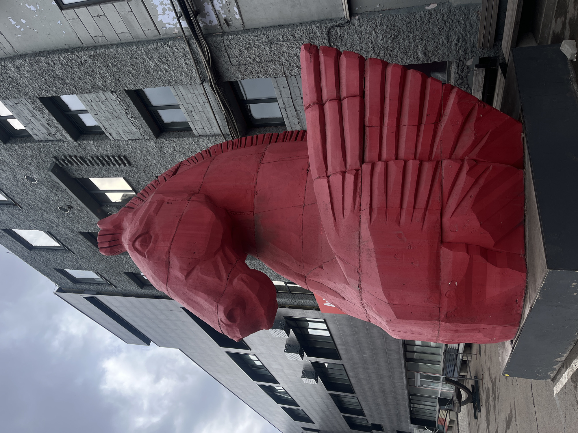 The image shows a large, red, sculpture of a winged horse head in front of a gray, multi-story building. The sculpture appears to be made of wood, with visible seams and a blocky construction style. It has a stylized mane and wings, with the wings displayed prominently behind the head.
The building behind the sculpture is a modern structure with rectangular windows. The sky is overcast, and the foreground includes pavement and a bench.
This sculpture is located in the city of Krasnoyarsk, Russia.