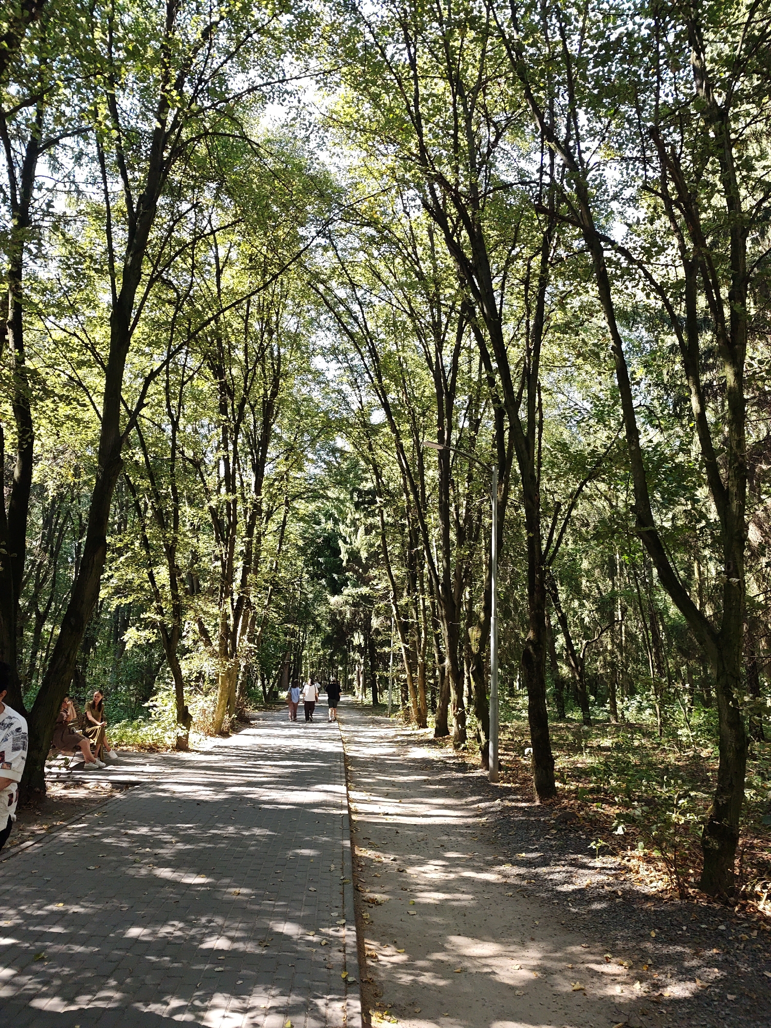 The image shows a tree-lined pathway in a park, likely in Vinnytsia, Ukraine, given the context. The pathway is paved with cobblestones on the left and dirt on the right, with a clear demarcation between the two. Tall trees with dense green foliage arch over the pathway, casting dappled shadows on the ground, suggesting it is a sunny day. A lamppost stands along the right side of the path.
In the foreground on the left, a person is partially visible, wearing a white top with black and red patterns. Further down the left side, two women are seated on a bench under a tree. One woman is wearing a brown dress and the other is in a lighter colored dress. They appear to be resting or conversing.
Further down the pathway, a group of four people are walking away from the camera. Two are wearing light-colored tops and dark bottoms, and the other two are dressed in dark clothing. Their presence indicates the pathway is used for recreation or transit. The background shows more trees and dense undergrowth, characteristic of a park environment. The overall scene is serene and natural, suggesting a pleasant outdoor setting.