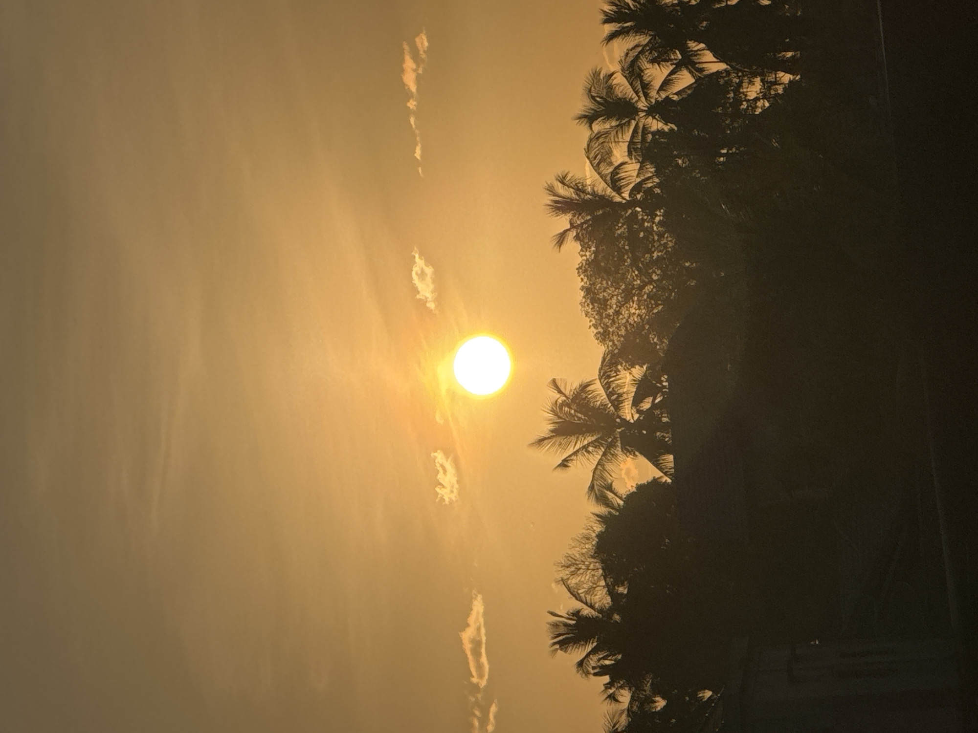 A vertical, outdoor, low-angle shot captures a sunset in Manyang Cut, Indonesia, as viewed from a residential rooftop. The sun, a bright, luminous orb, is positioned slightly left of center in the upper half of the frame, casting a warm, orange glow across the entire scene. Wispy, pale clouds are scattered across the sky. Silhouetted against the vibrant sky is a dense canopy of palm trees and other foliage, forming a dark, textured line across the middle of the image. The foreground is dominated by the dark, indistinct shapes of rooftops and what appears to be a building structure on the left, all rendered in deep shadow. The overall impression is one of a tropical evening at dusk.