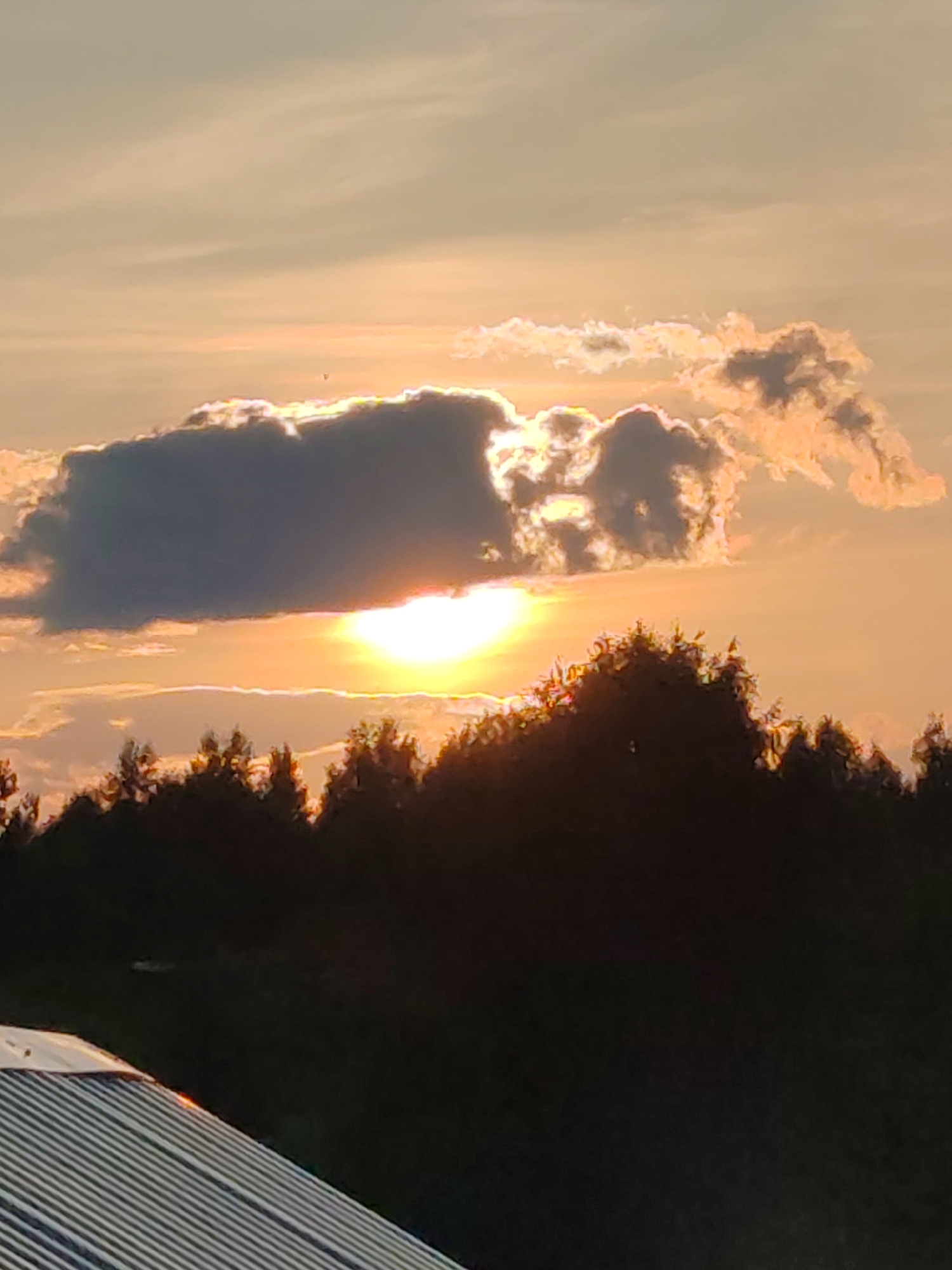The image depicts a sunset over a rural landscape, possibly in the city of Chuhlëm, Russia. The sky is filled with soft orange and yellow hues, with a bright sun partially obscured by a dark, textured cloud. The cloud is illuminated around its edges by the setting sun, creating a luminous halo effect. Below the sky, a dense silhouette of trees forms a dark band across the middle ground, suggesting a forest or a line of trees. In the foreground, the top of a corrugated metal roof is visible, angled diagonally from the bottom left corner. The roof exhibits a metallic sheen, reflecting the warm tones of the sunset. The overall scene conveys a sense of tranquility and the natural beauty of a twilight setting in a rural or semi-rural area.