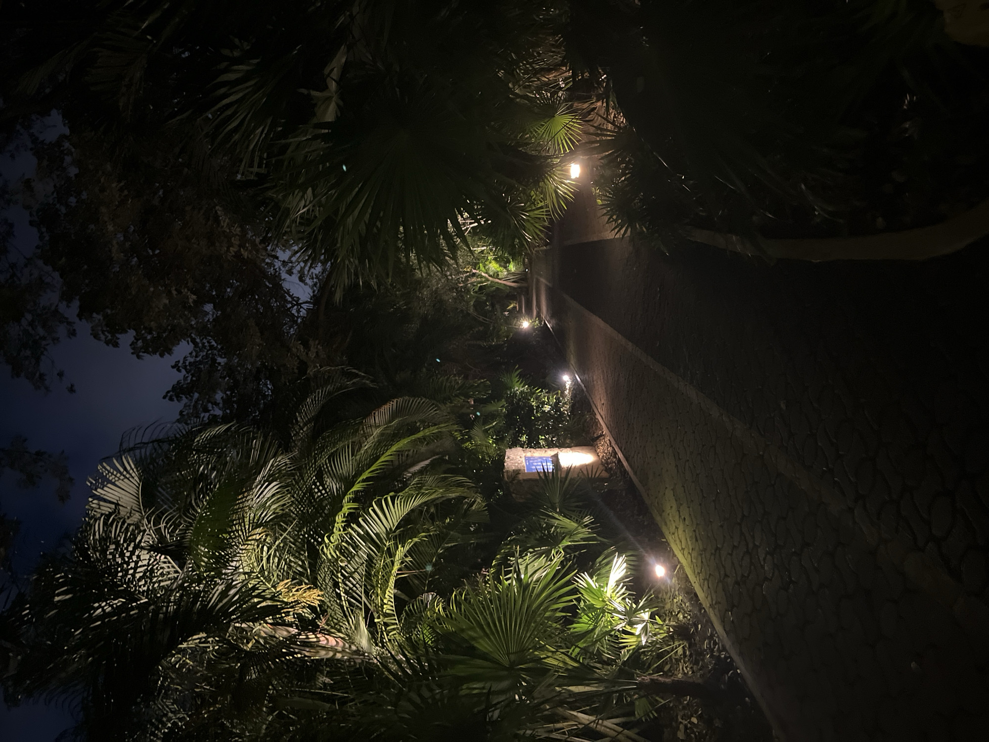 The image depicts a dimly lit pathway in Playa del Carmen, Mexico, at night. The pathway is lined with palm trees and other tropical foliage, illuminated by a series of ground-level lights. A stone or brick wall runs along the right side of the pathway. The sky is a dark blue, barely visible through the dense foliage. There are no people visible in the image. The setting suggests a garden or park.