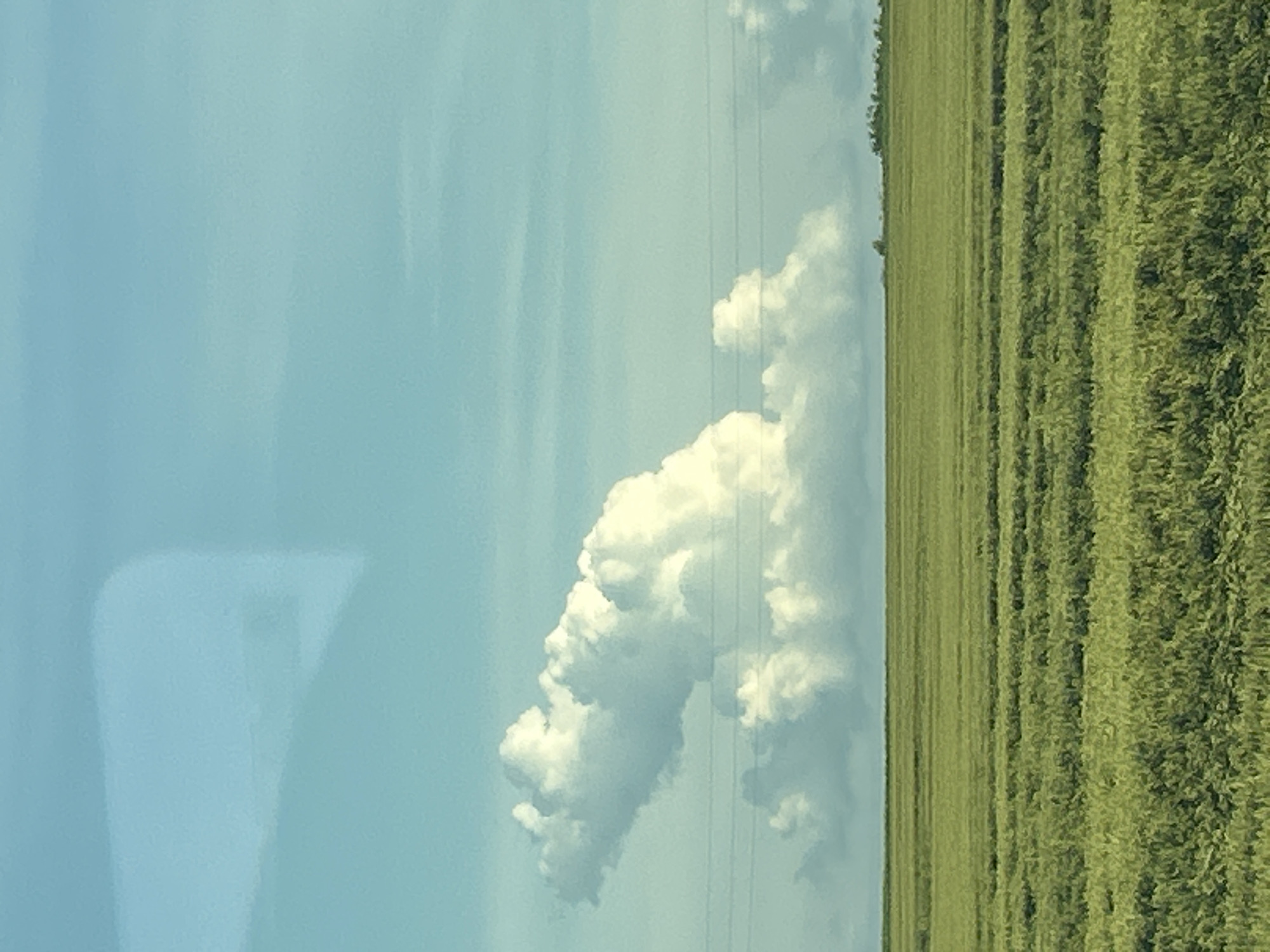 The image shows a vast, green field under a bright blue sky. In the sky, there are large, fluffy white clouds, one of which is particularly prominent and resembles a playful dog. The field appears to be cultivated, with visible rows or patterns. In the distance, a faint treeline can be seen. The overall scene suggests a rural or agricultural setting. There are no people or specific landmarks that would indicate the location in the city of Kochovo, Bulgaria.